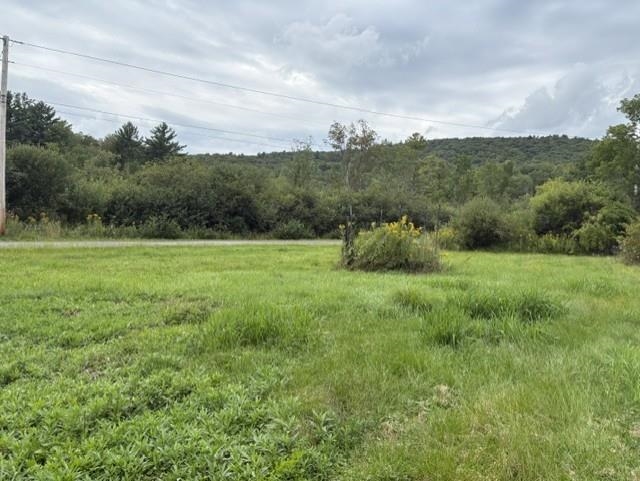 493 Main Road Property Photo 10