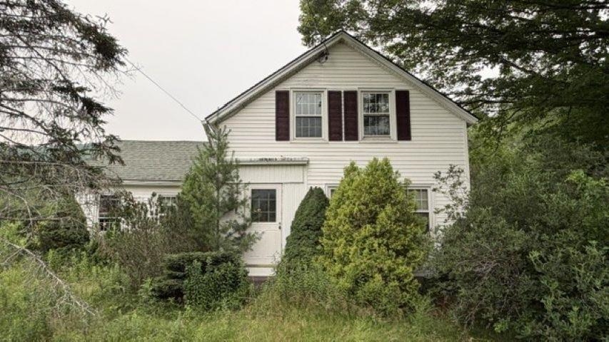 493 Main Road Property Photo 14