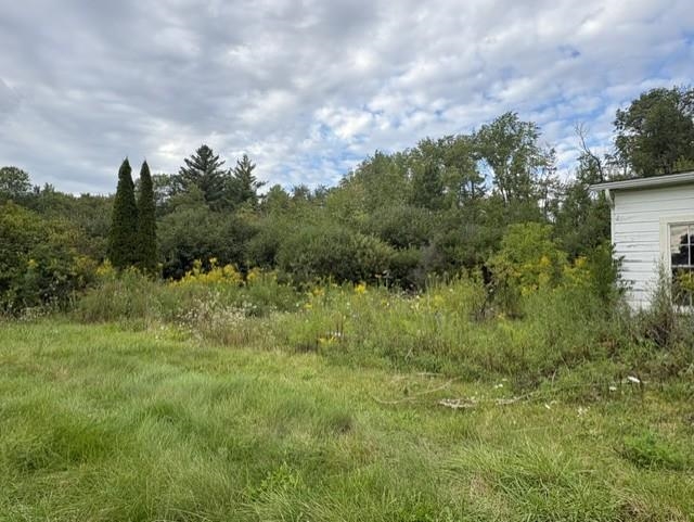 493 Main Road Property Photo 16