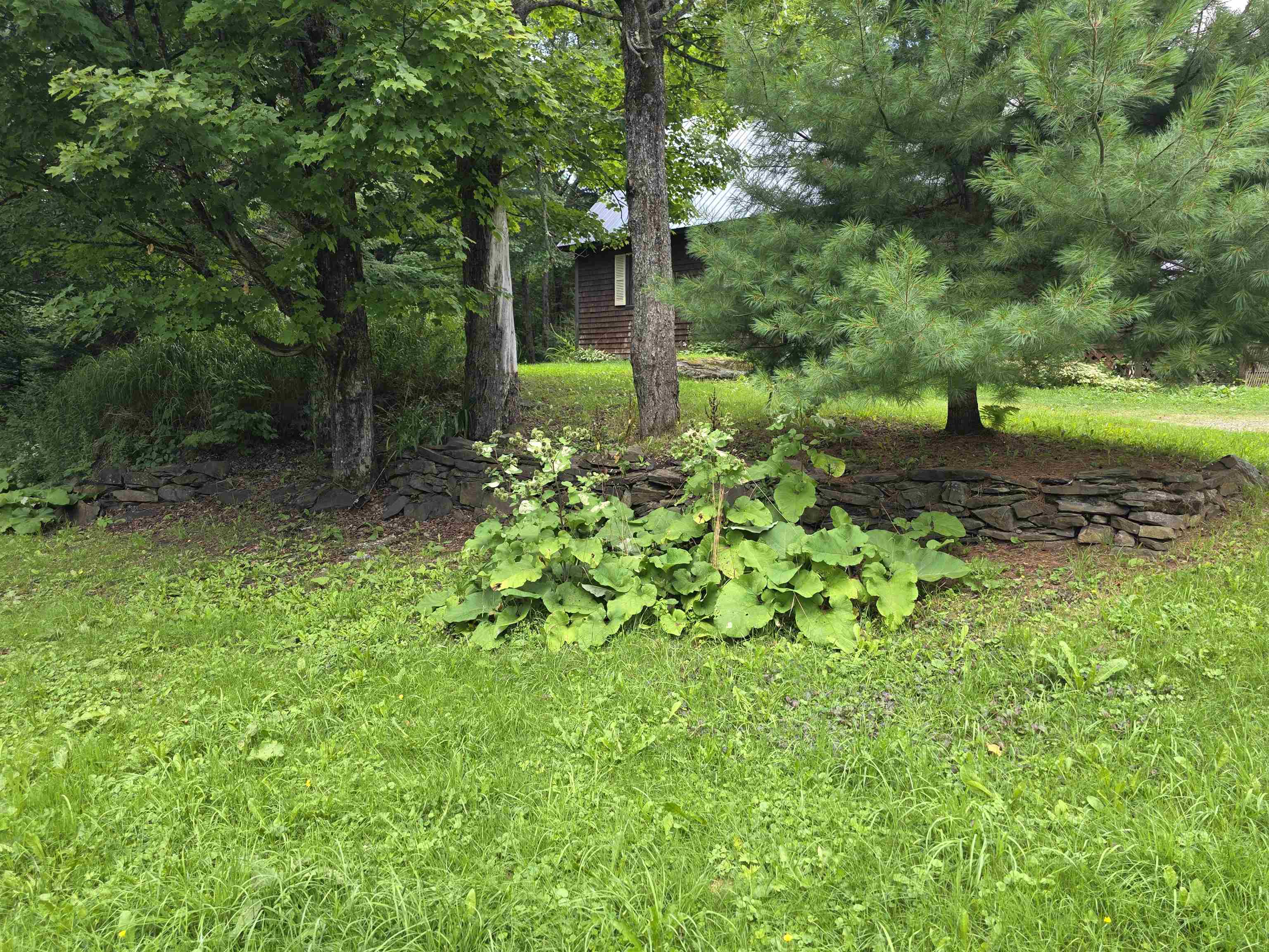 2328 Gore Road Property Photo 3