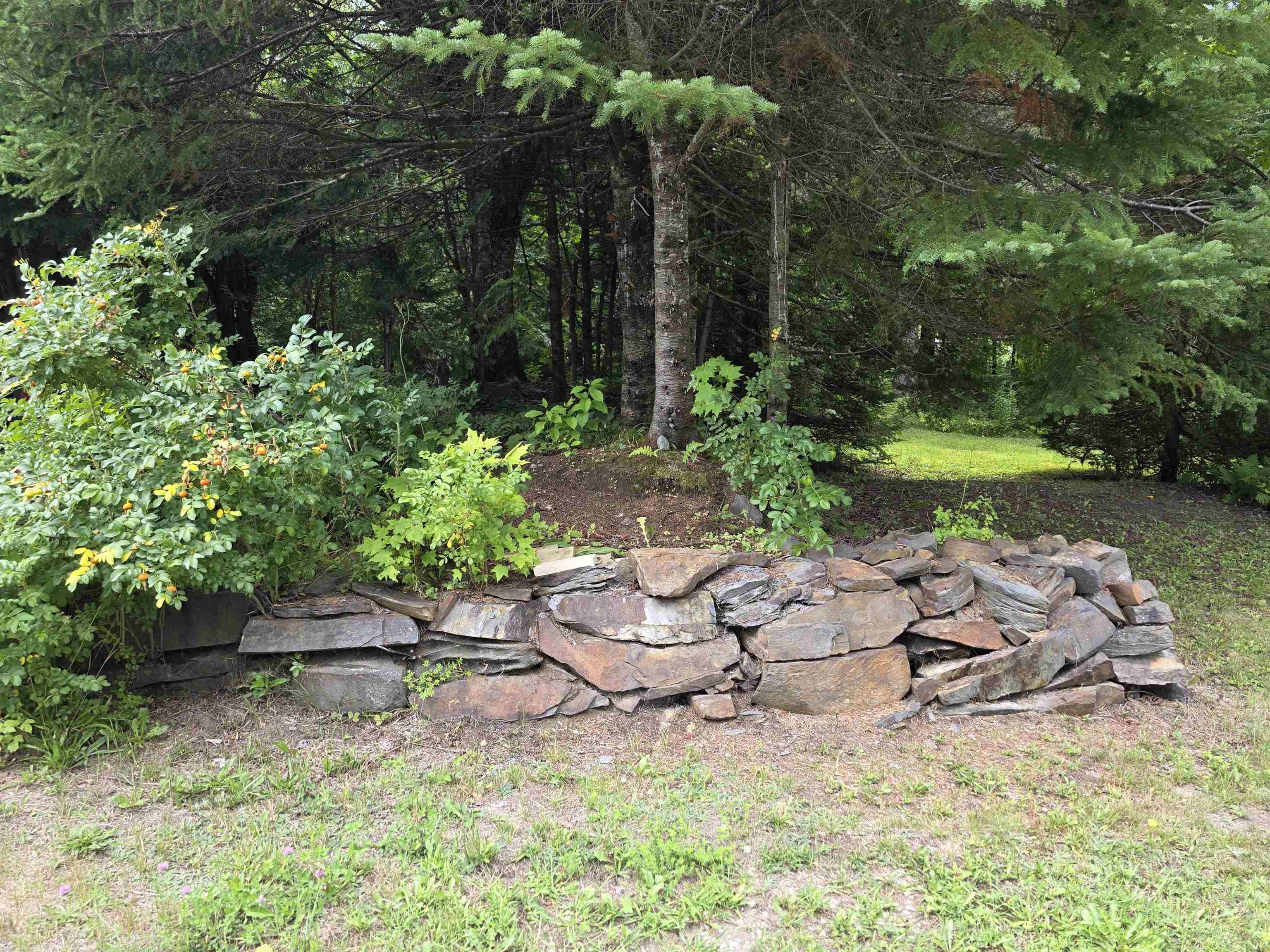 2328 Gore Road Property Photo 4