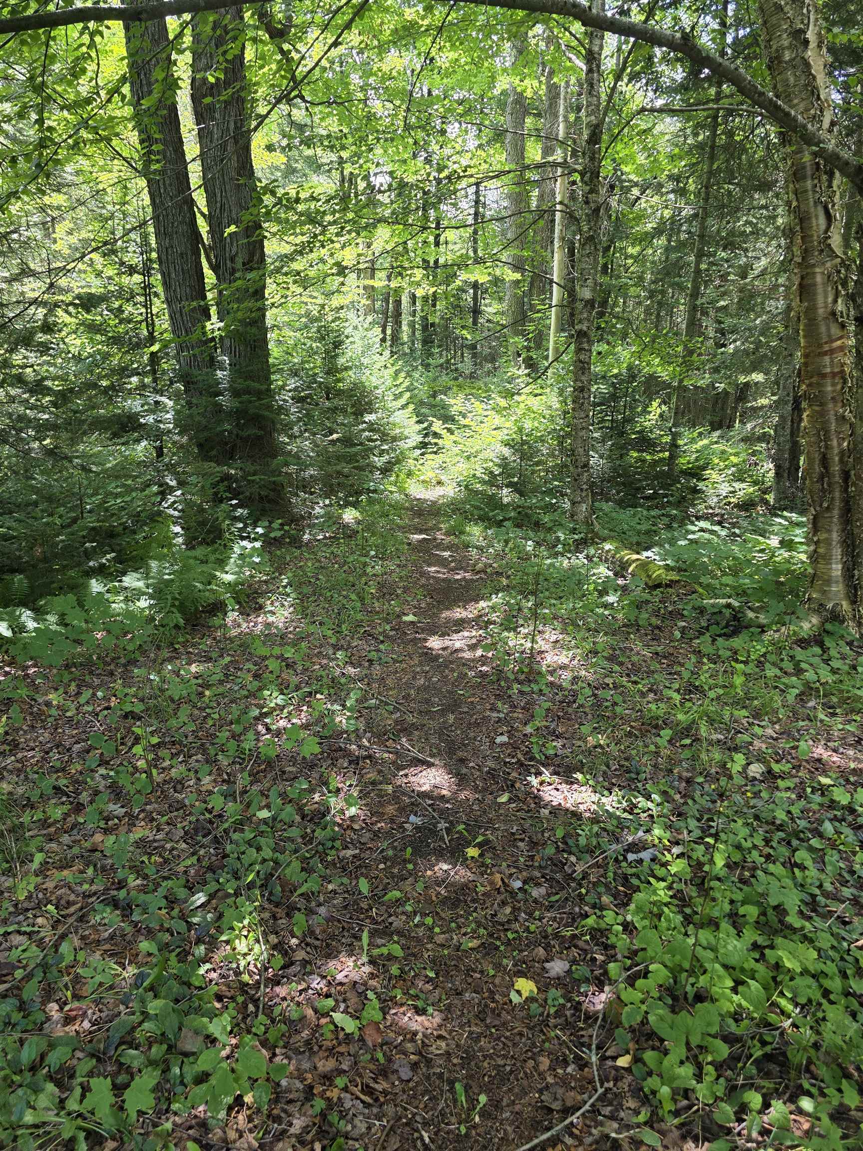 2328 Gore Road Property Photo 8