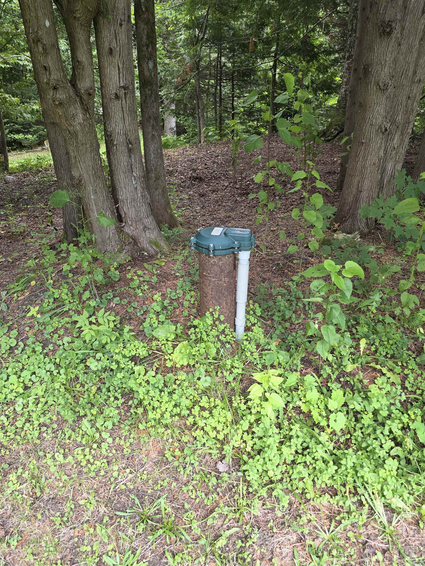 2328 Gore Road Property Photo 10