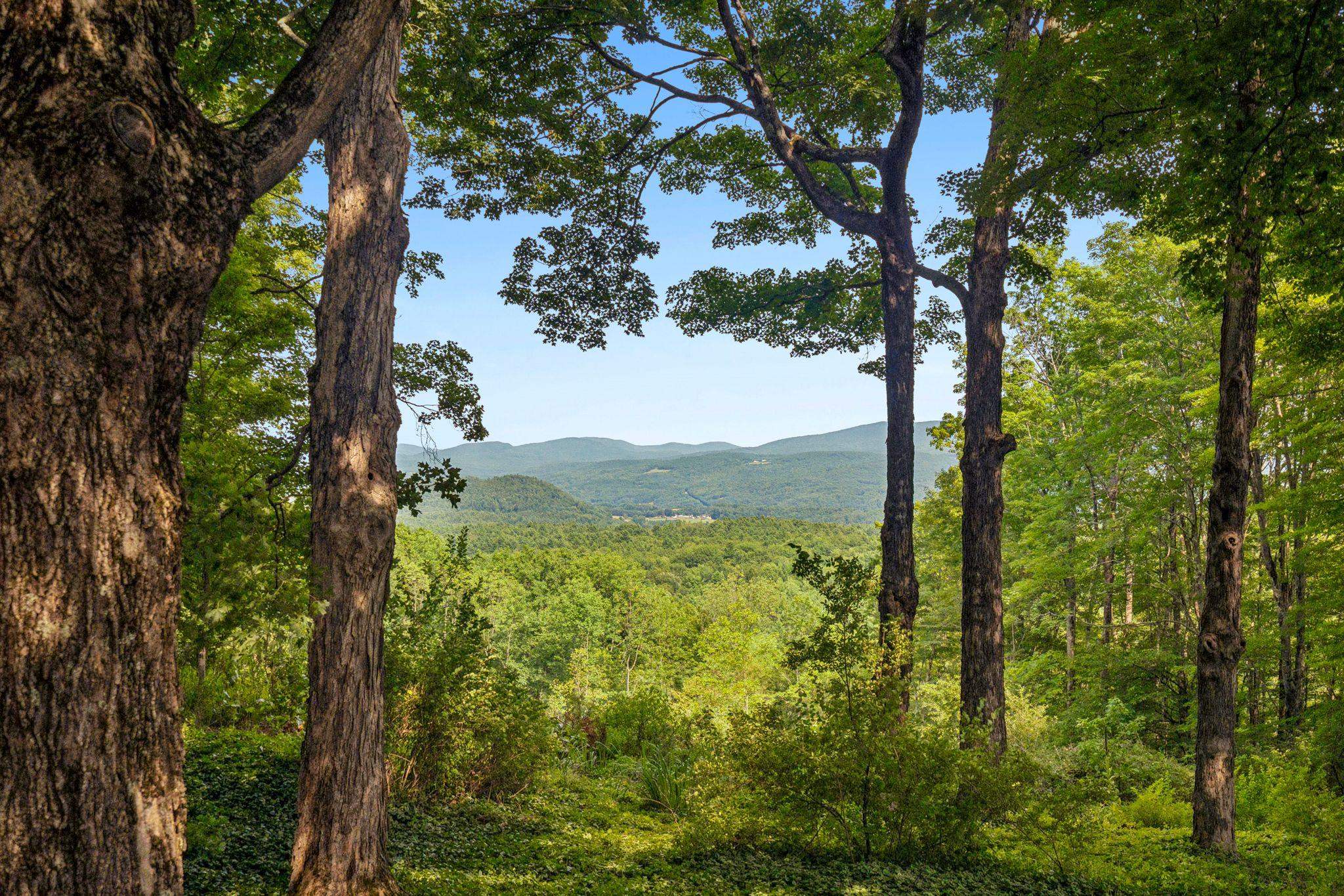 101 Old Coach Road Property Photo 34