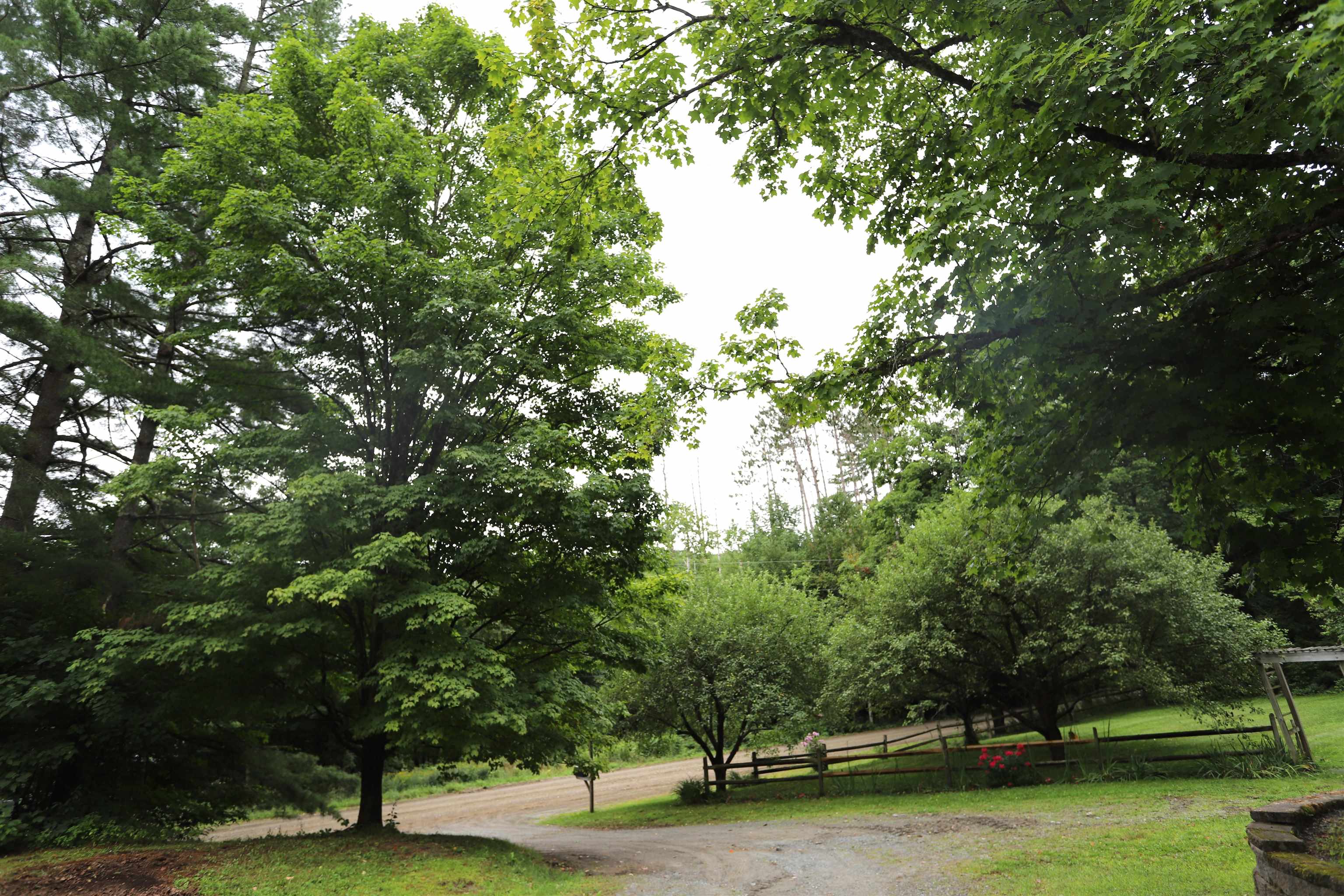 1114 Sand Hill Road Property Photo 34