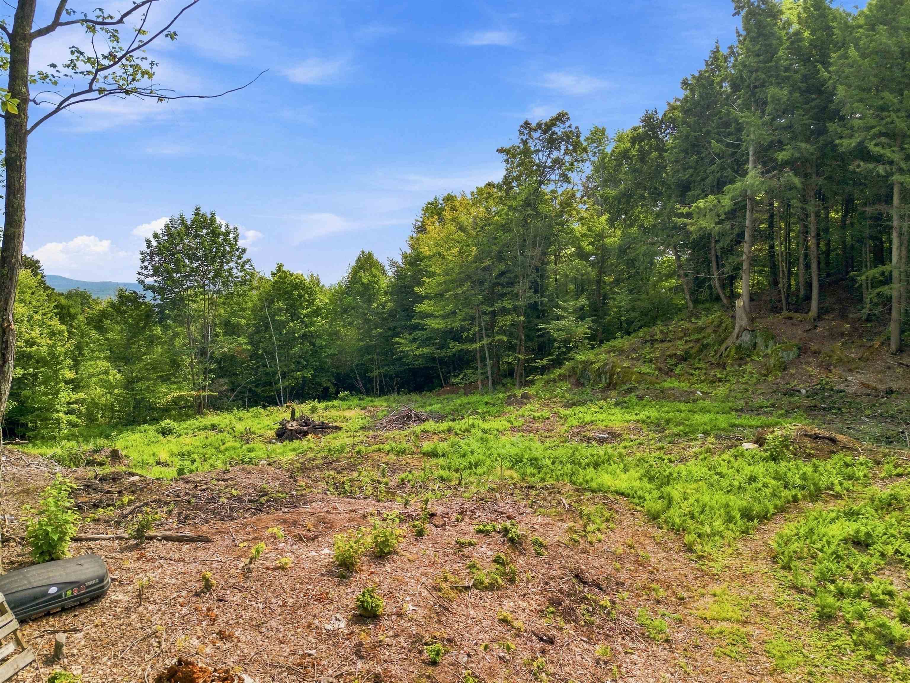 0000 White Birch Road Property Photo 19