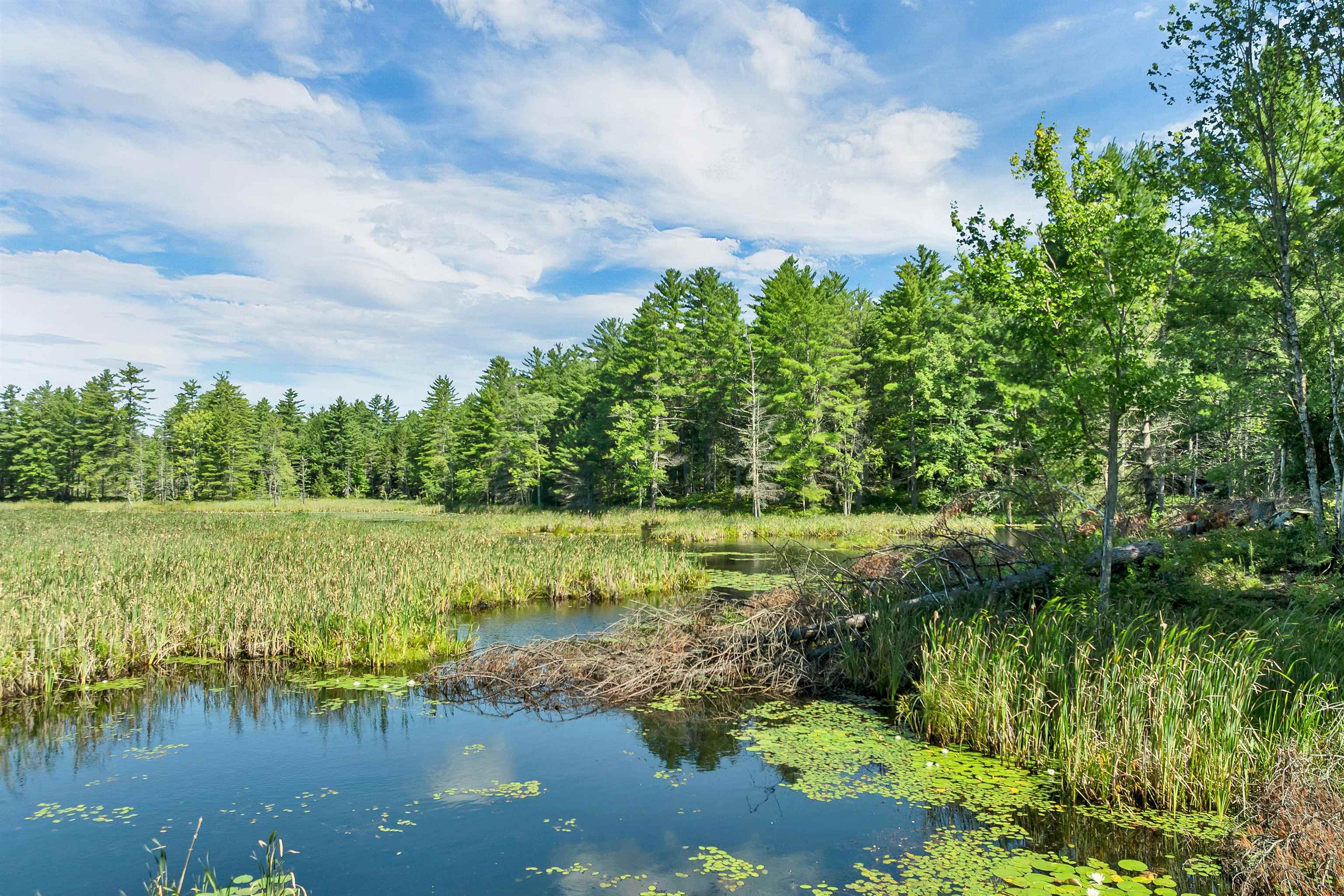 763 Nh Route 129 Property Photo 41