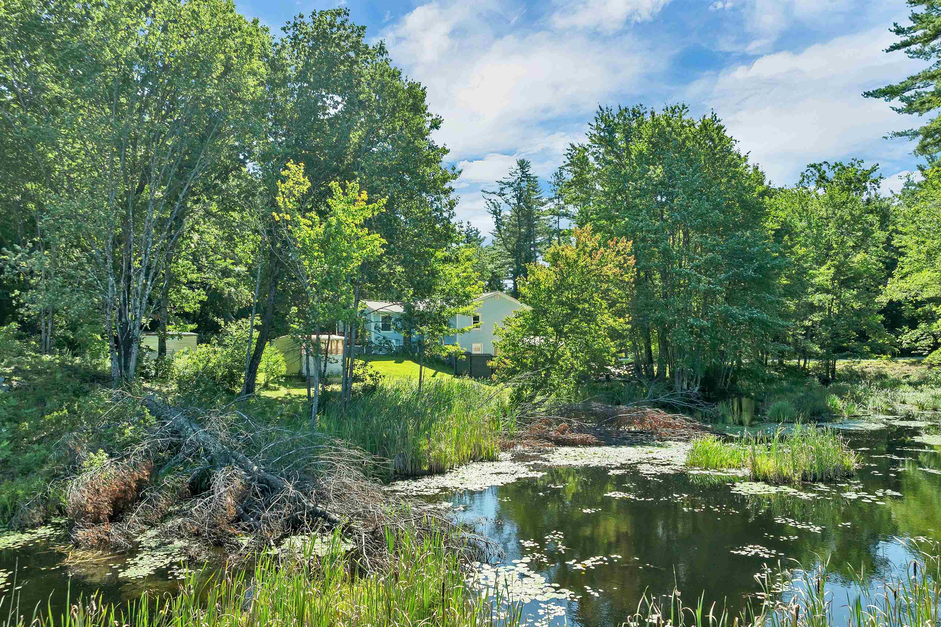 763 Nh Route 129 Property Photo 42