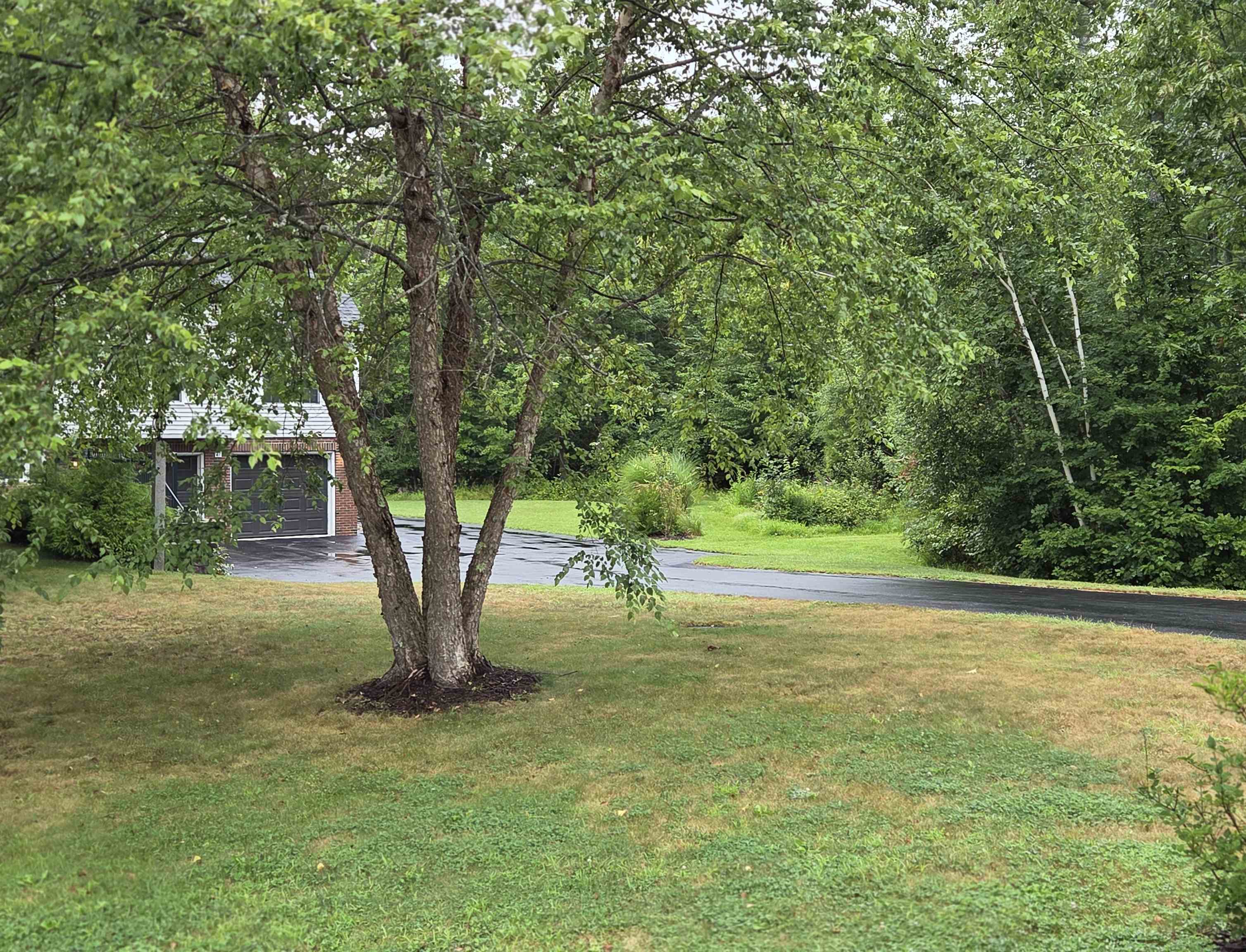 47 Pray Street Property Photo 34