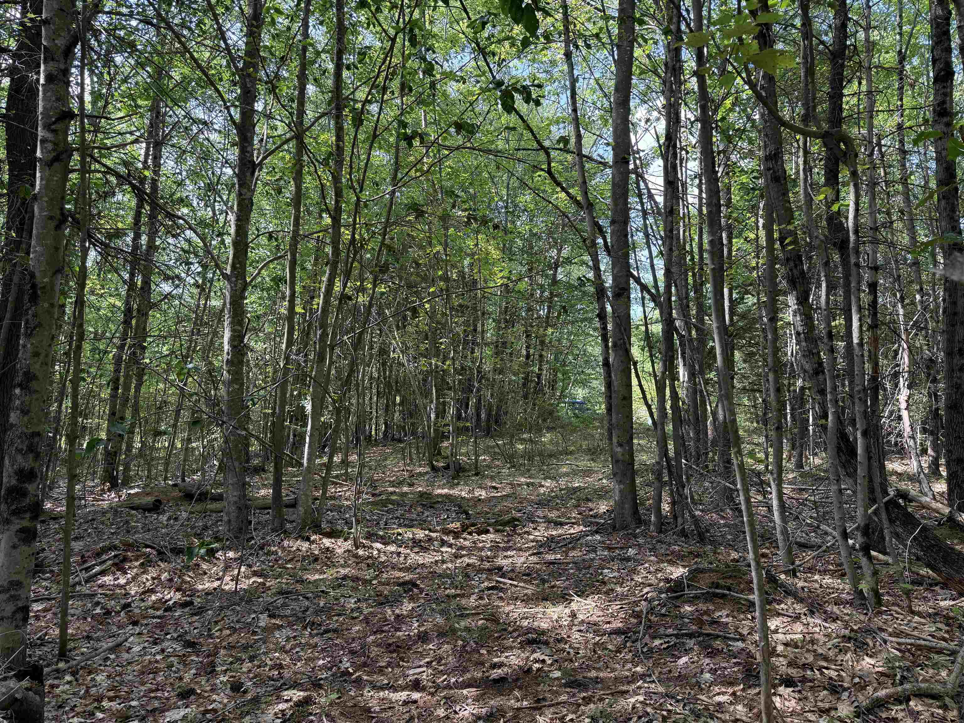 00 Parkey Road Property Photo 3