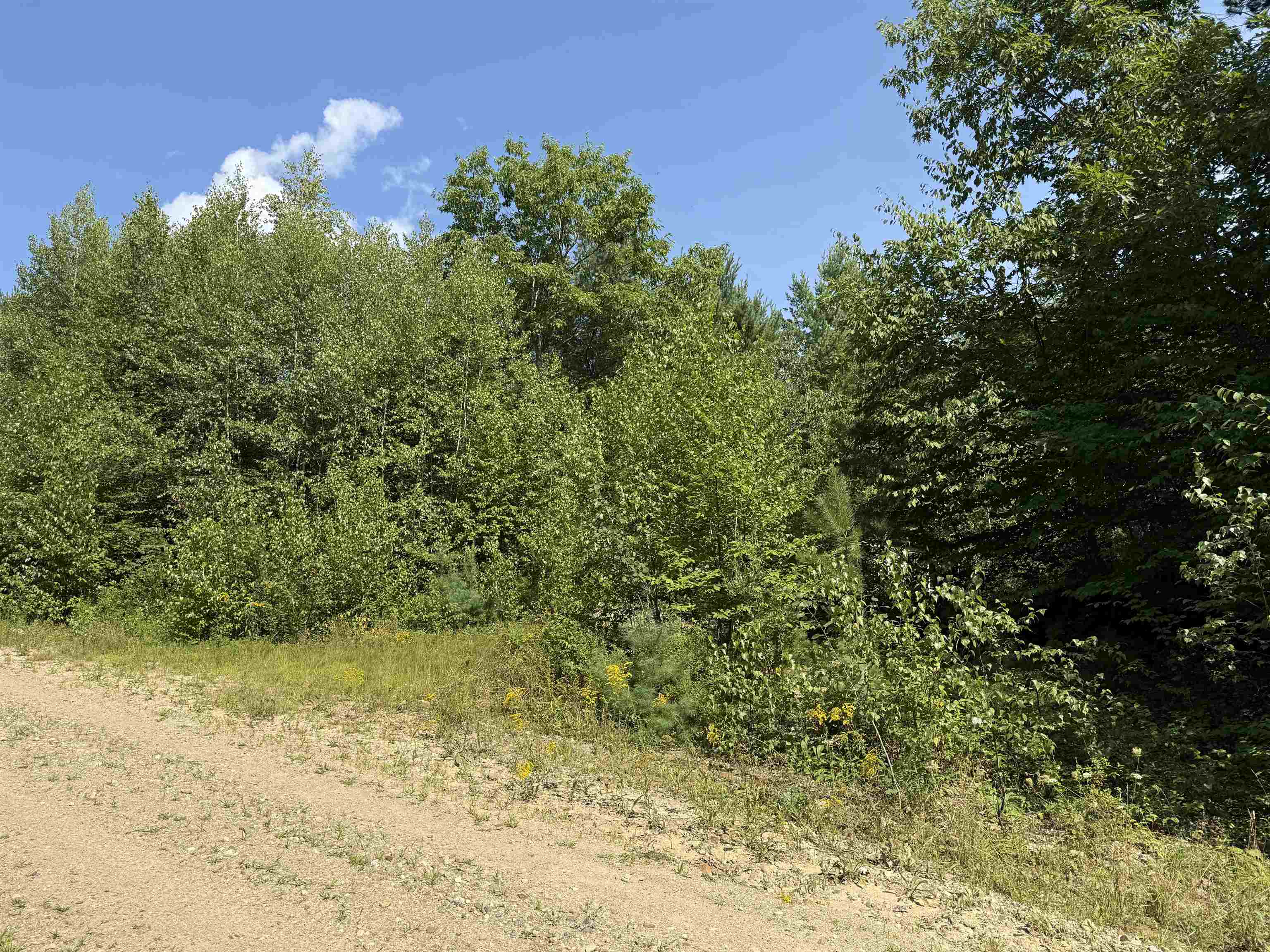 00 Parkey Road Property Photo 4