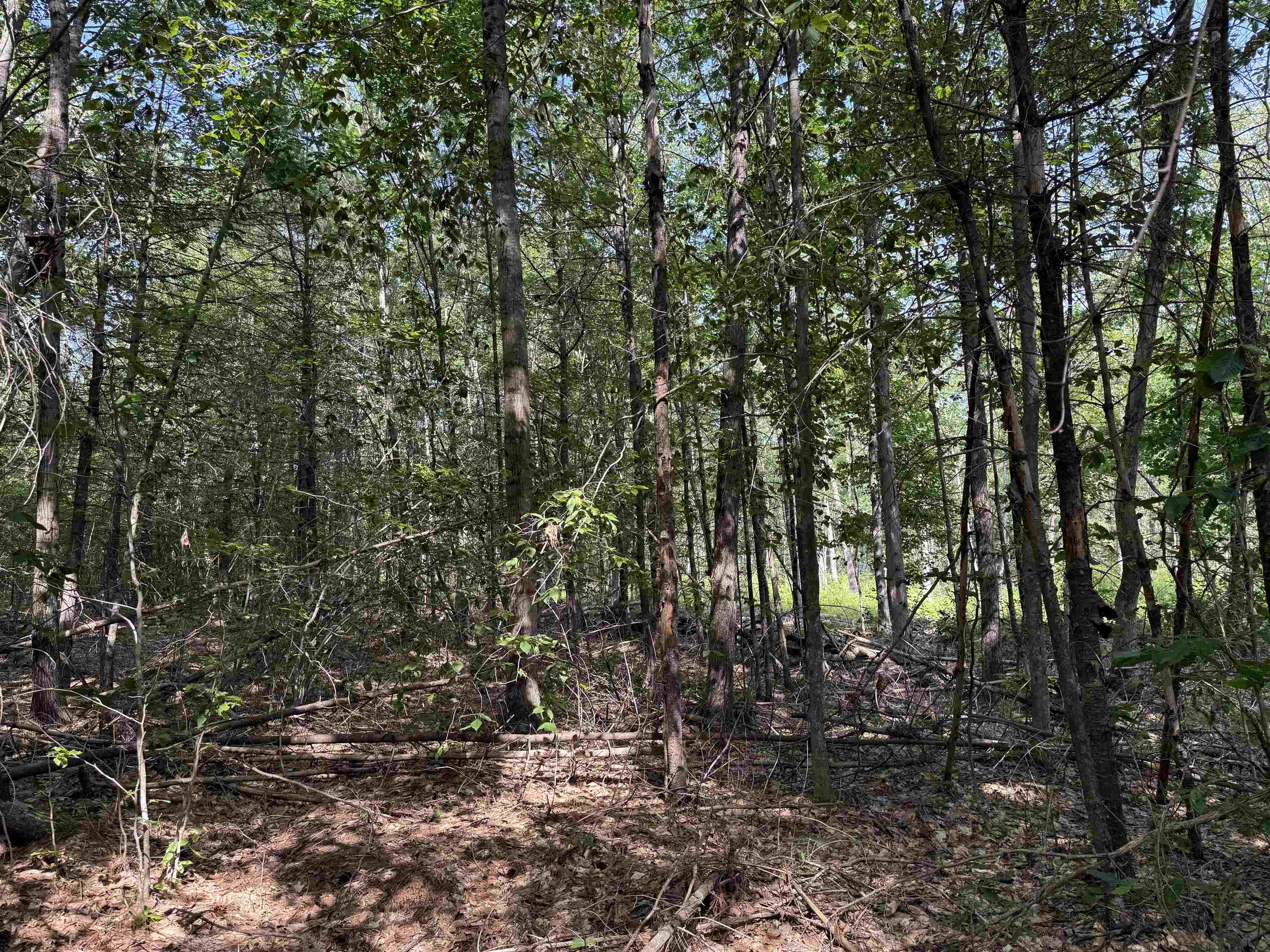 00 Parkey Road Property Photo 6
