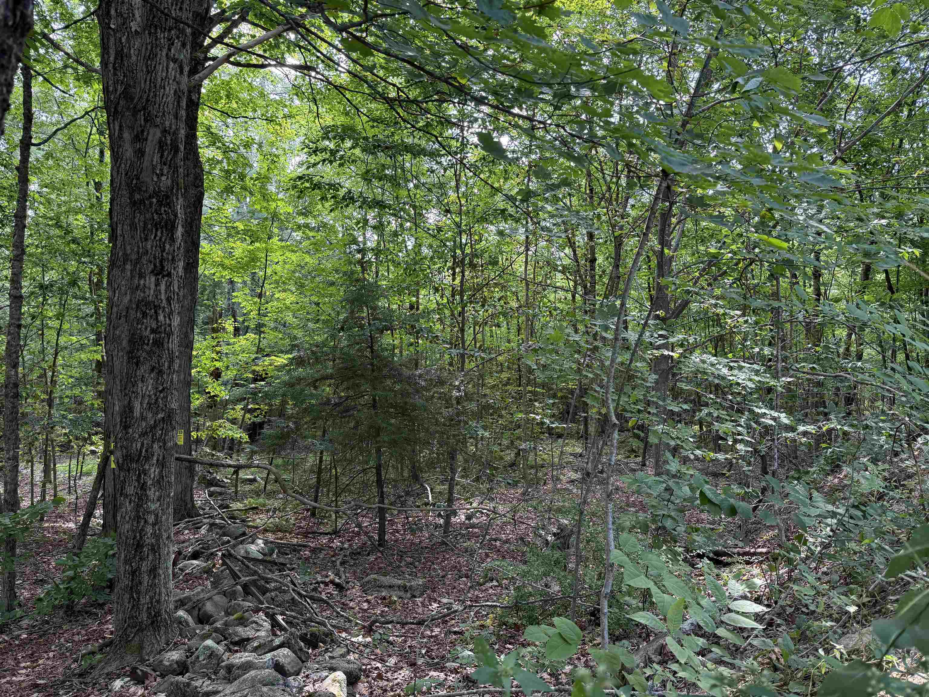 00 Parkey Road Property Photo 9