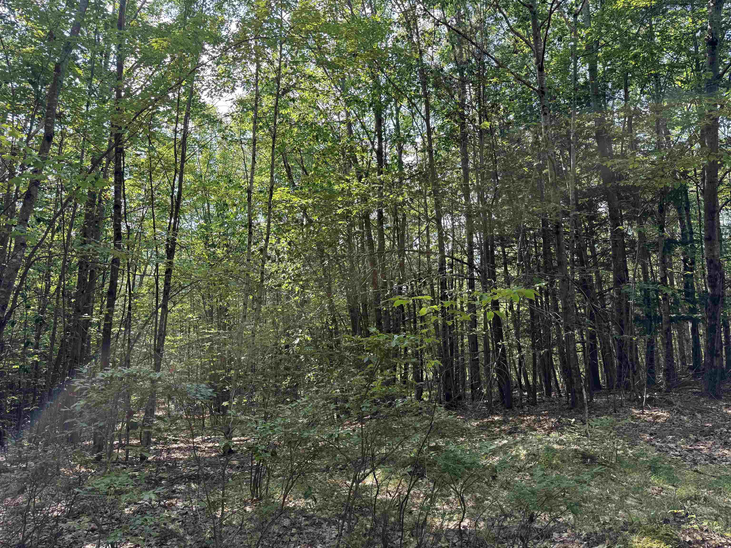 00 Parkey Road Property Photo 10