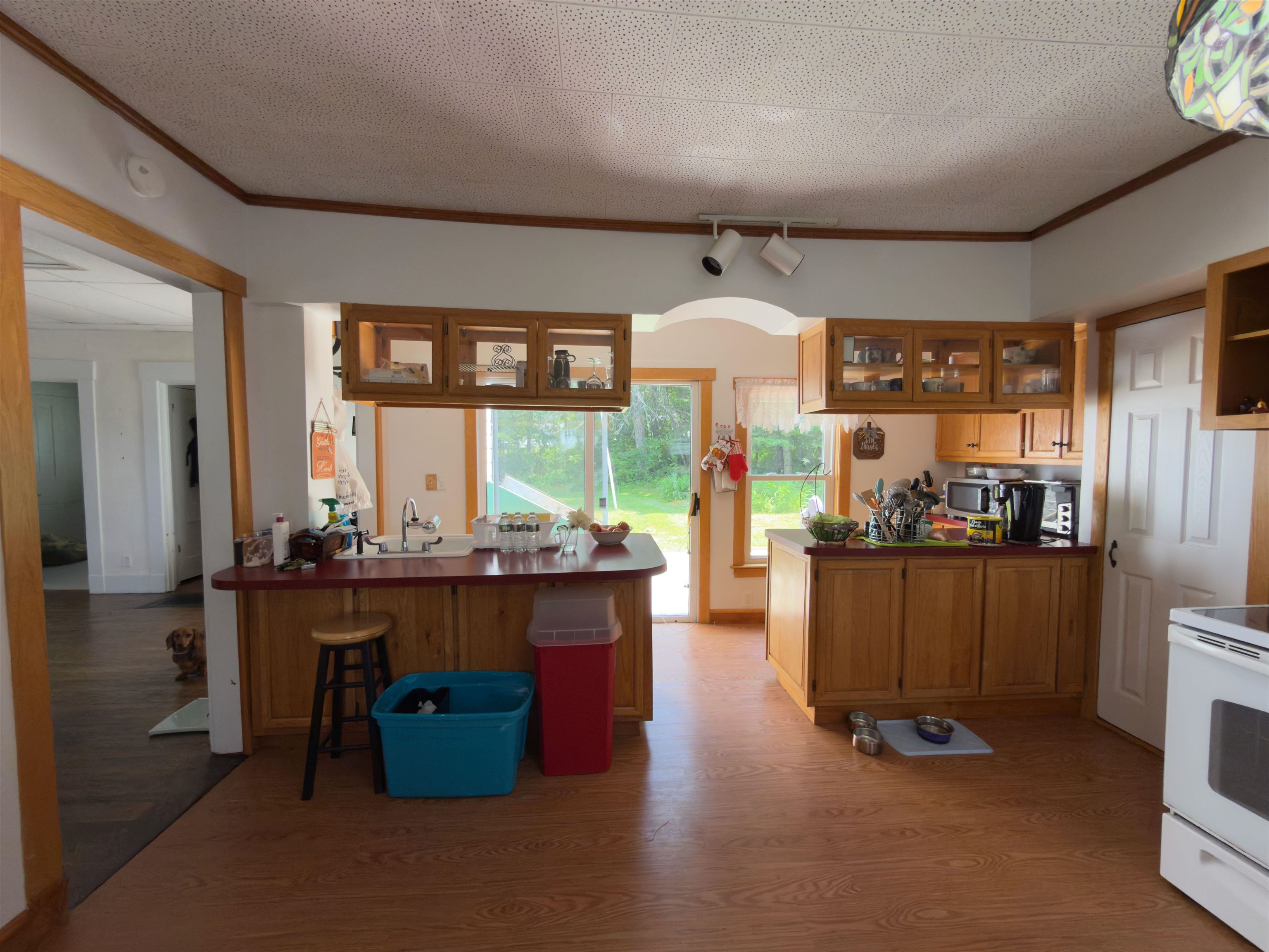 51 Portland Street Property Photo 49