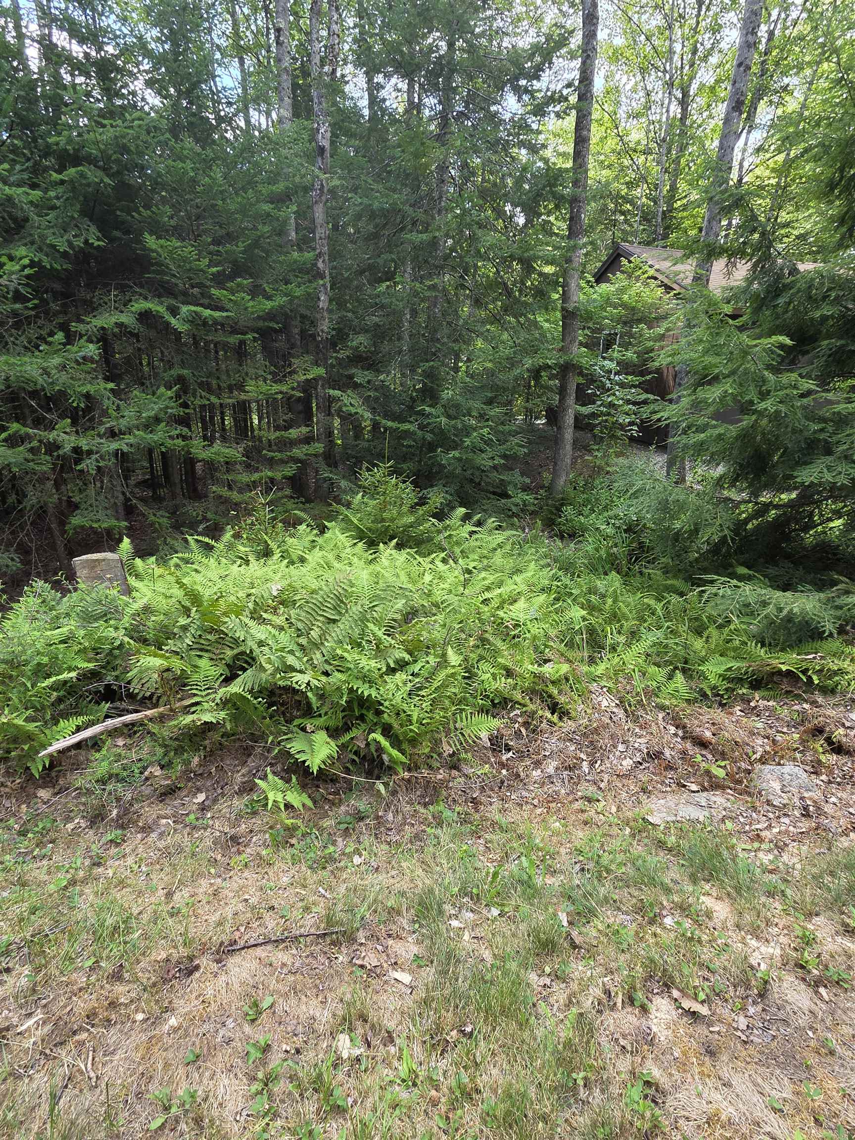 26 Judges Road Property Photo 3