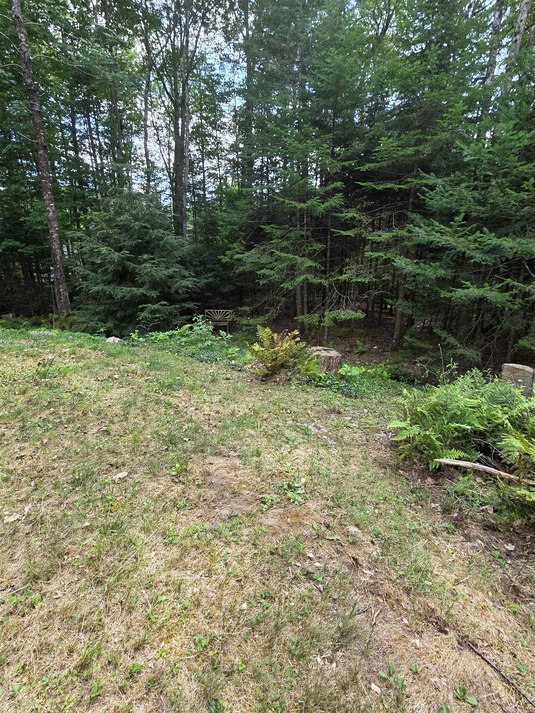 26 Judges Road Property Photo 4