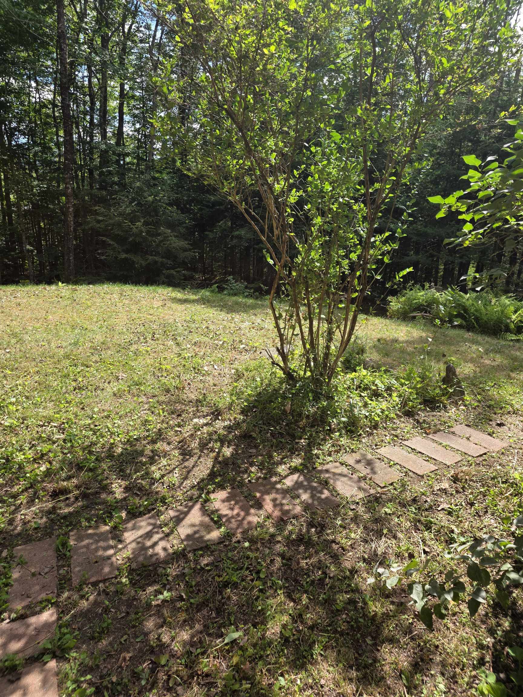 26 Judges Road Property Photo 29