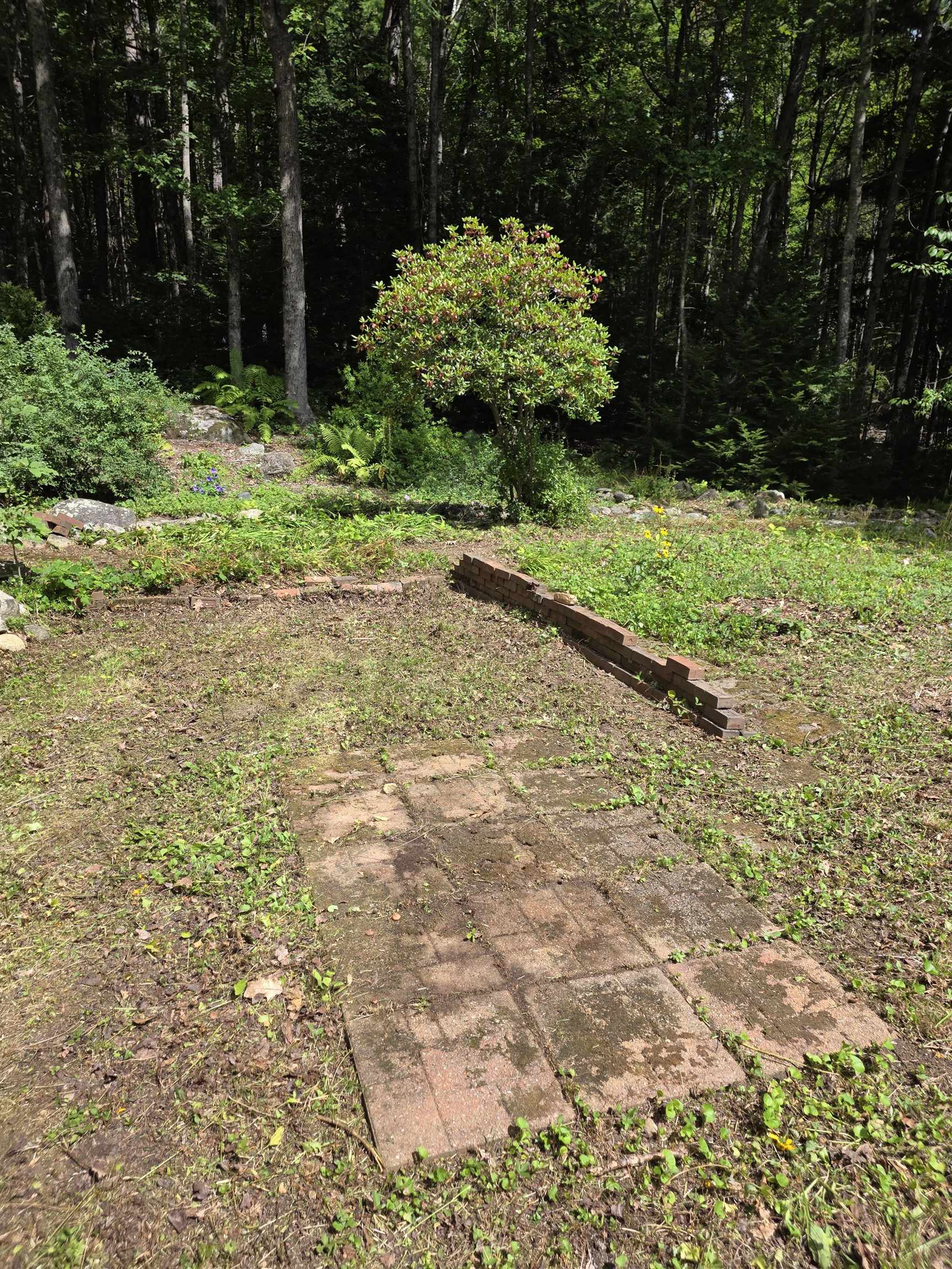 26 Judges Road Property Photo 30