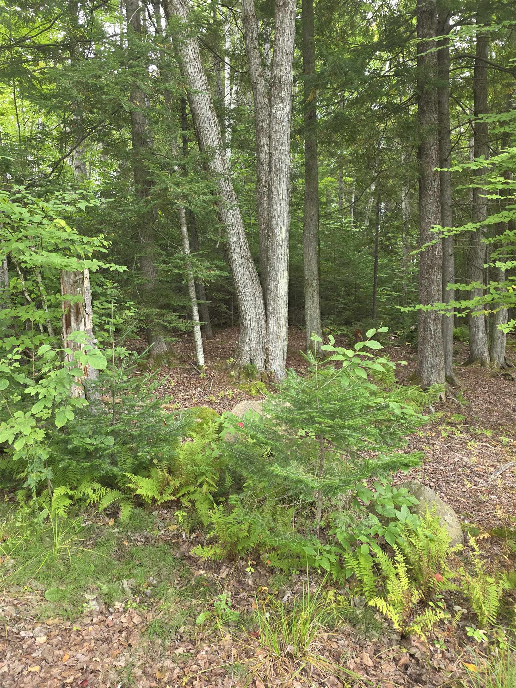 26 Judges Road Property Photo 37
