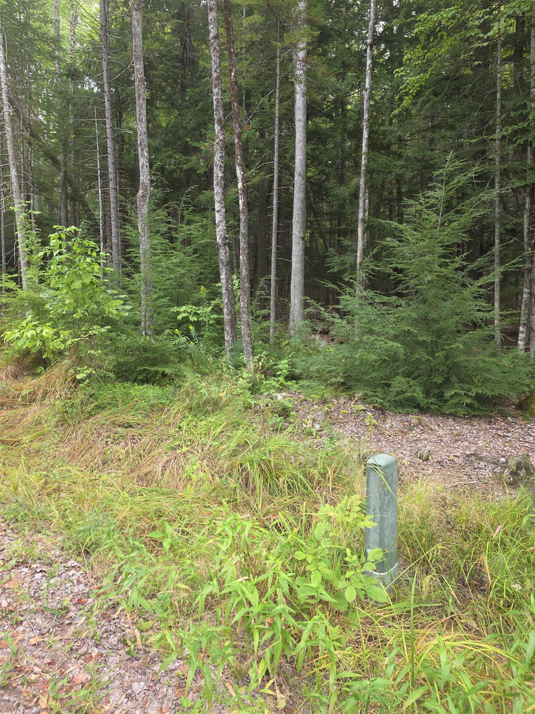 26 Judges Road Property Photo 38