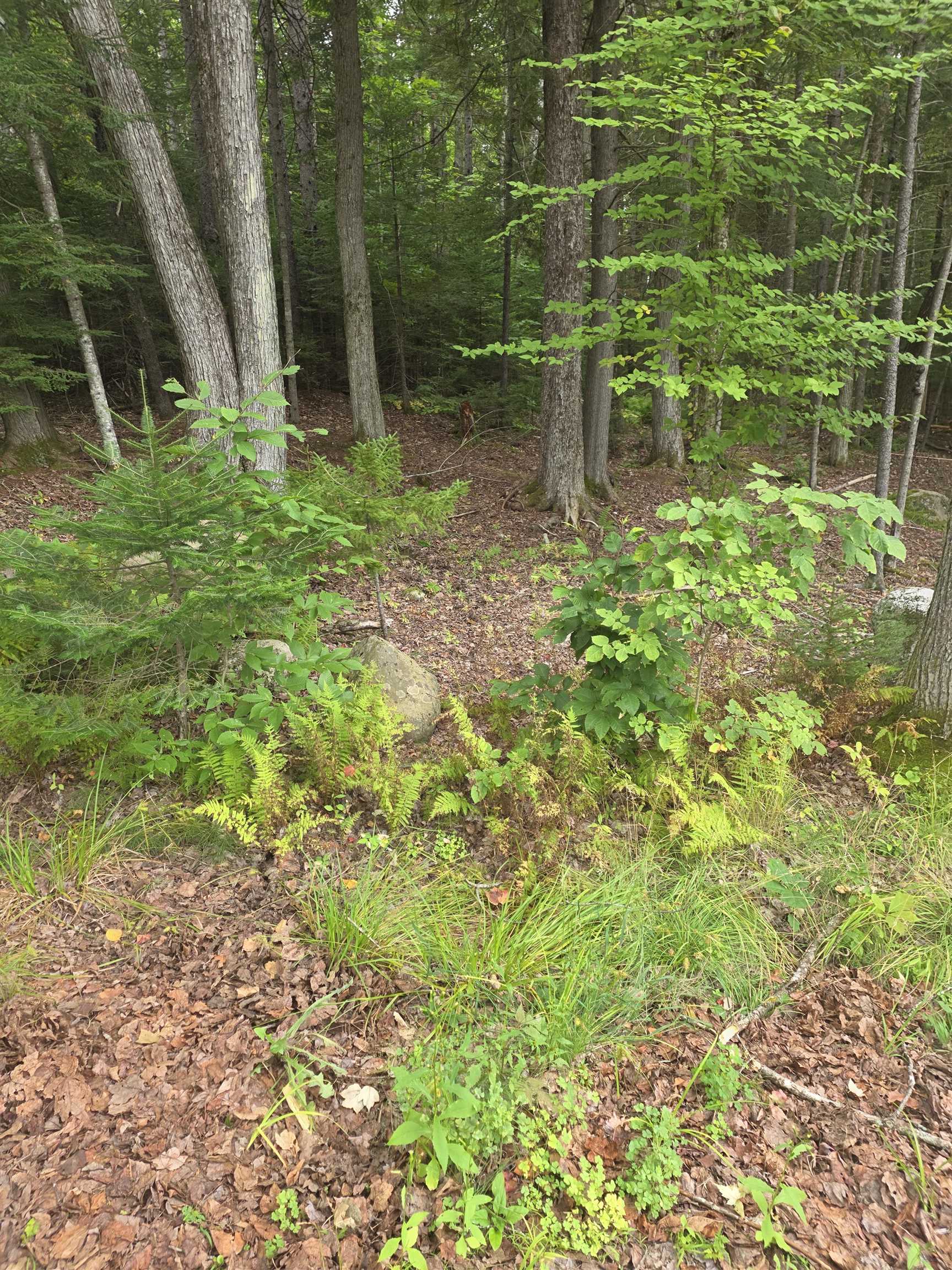 26 Judges Road Property Photo 40