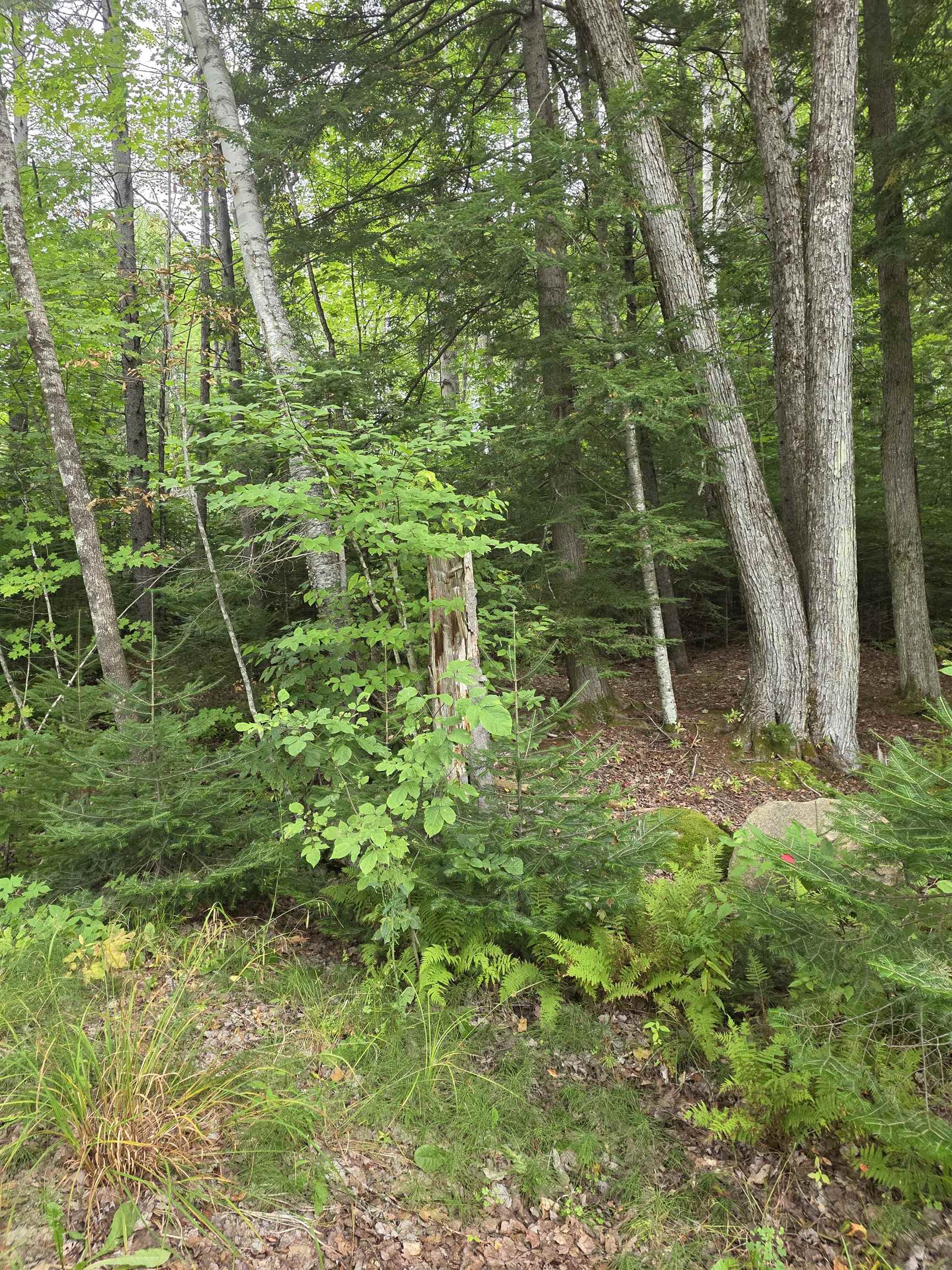 26 Judges Road Property Photo 41