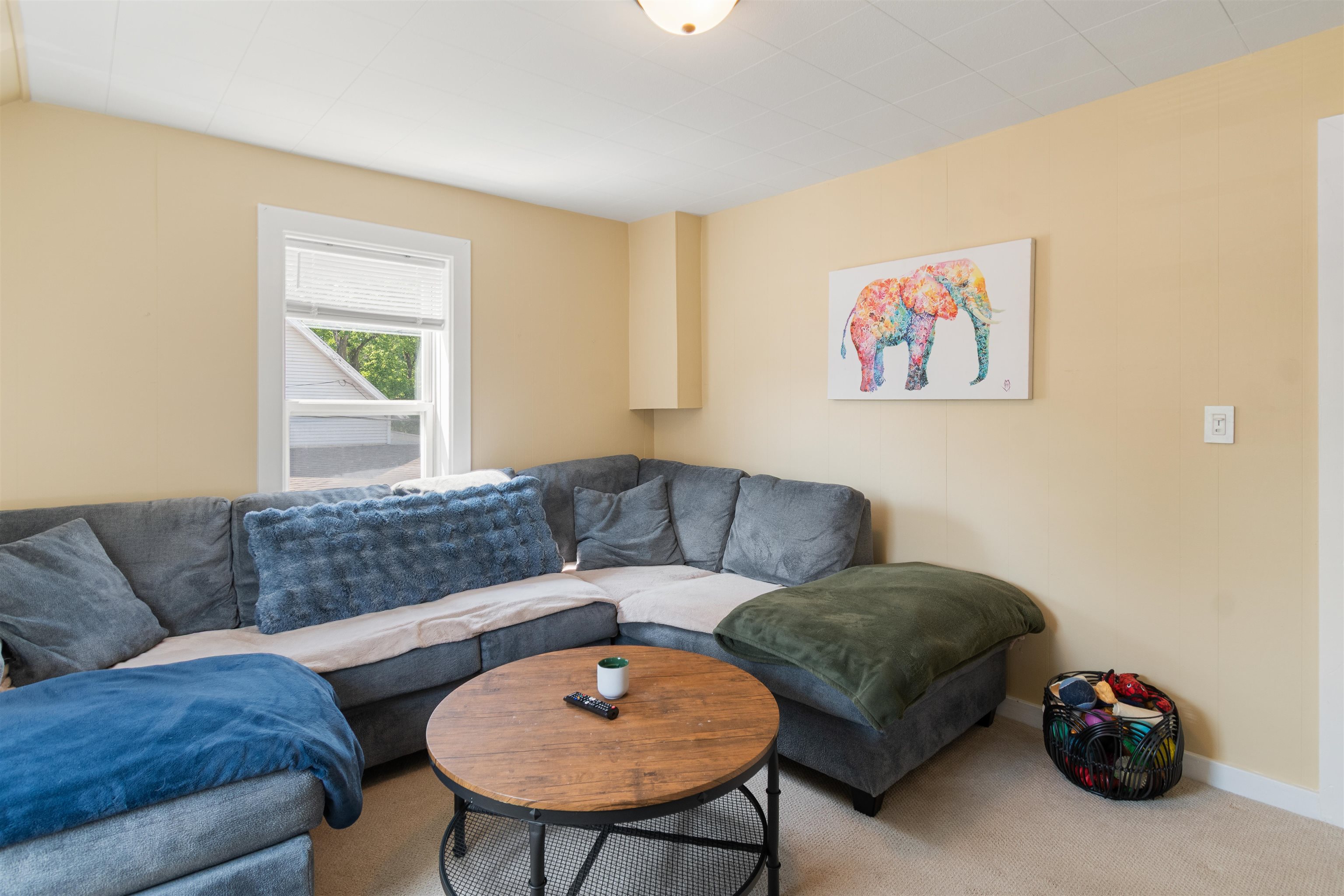 64-66 Swift Street Property Photo 4