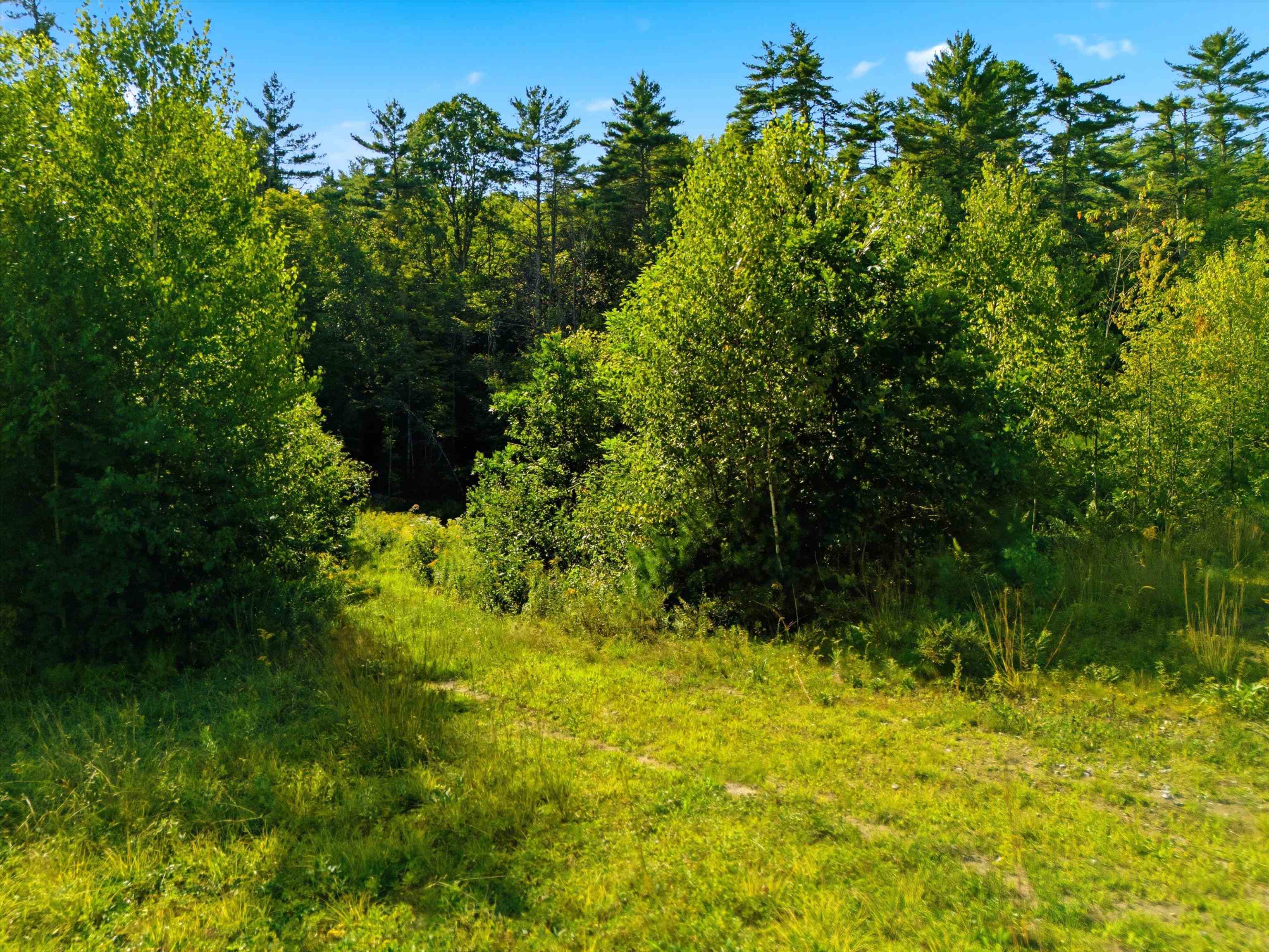 1301 Bound Tree Road Property Photo 52