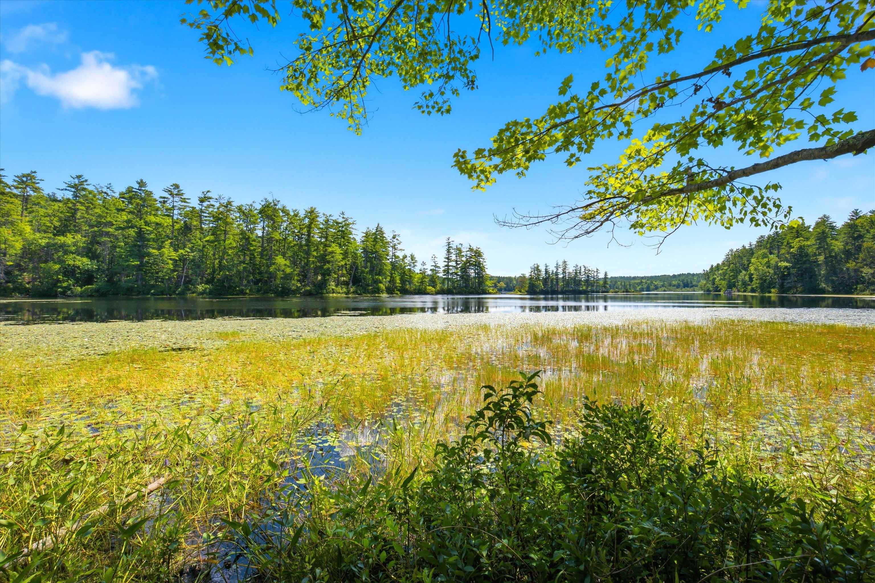 1301 Bound Tree Road Property Photo 54