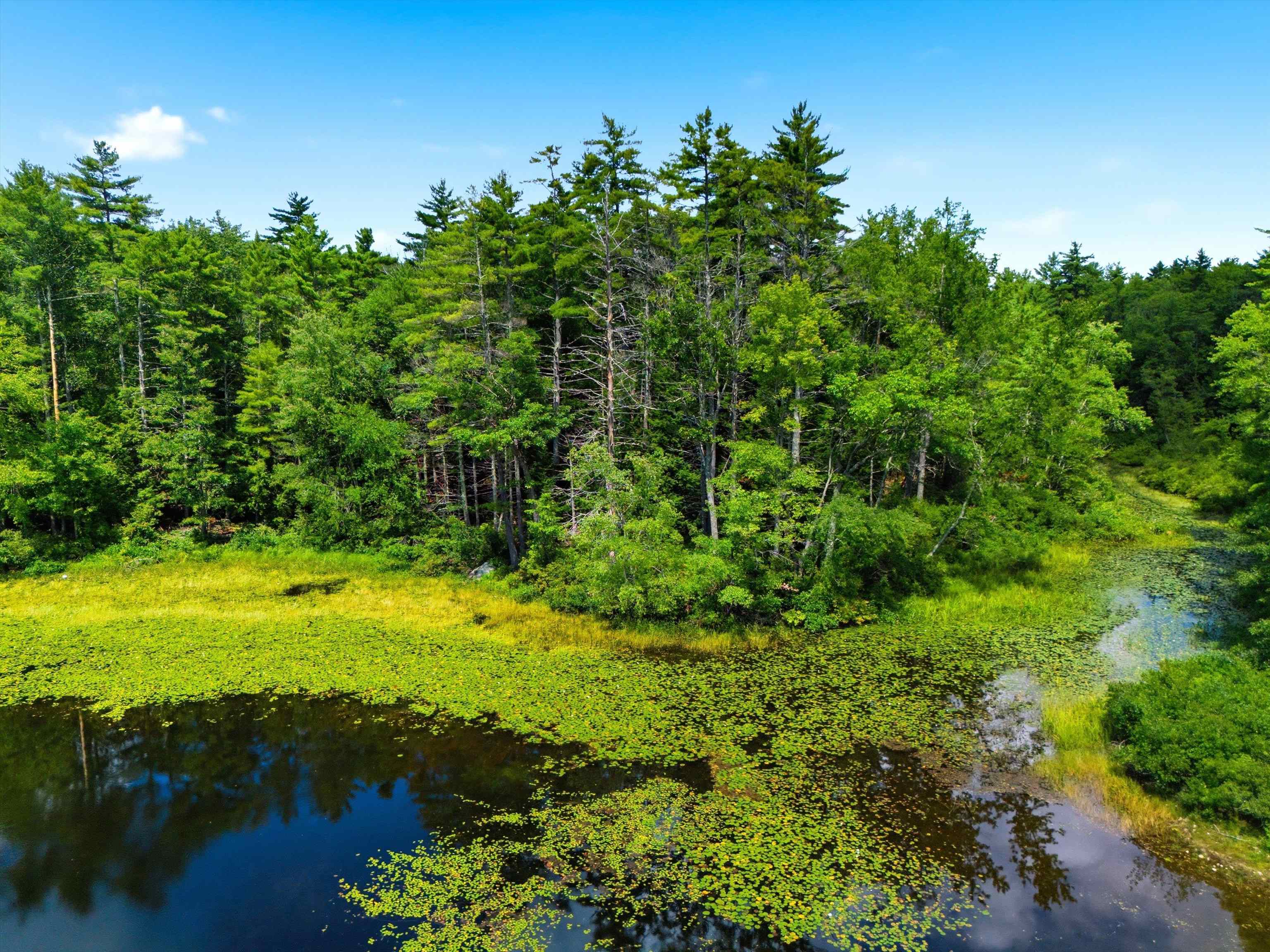 1301 Bound Tree Road Property Photo 55