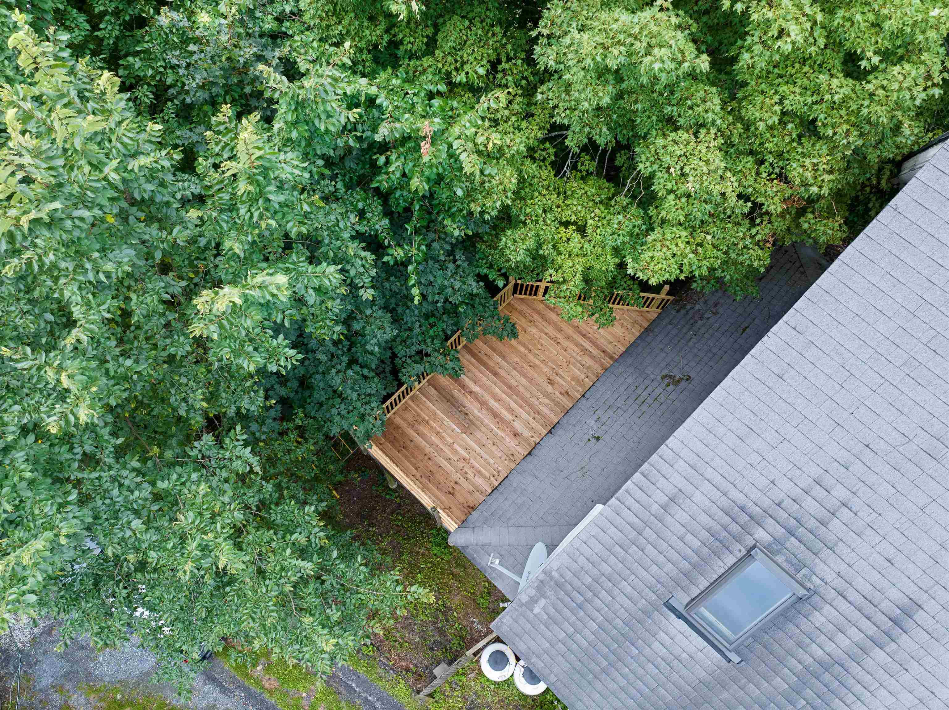 11 Foster Street Property Photo 43