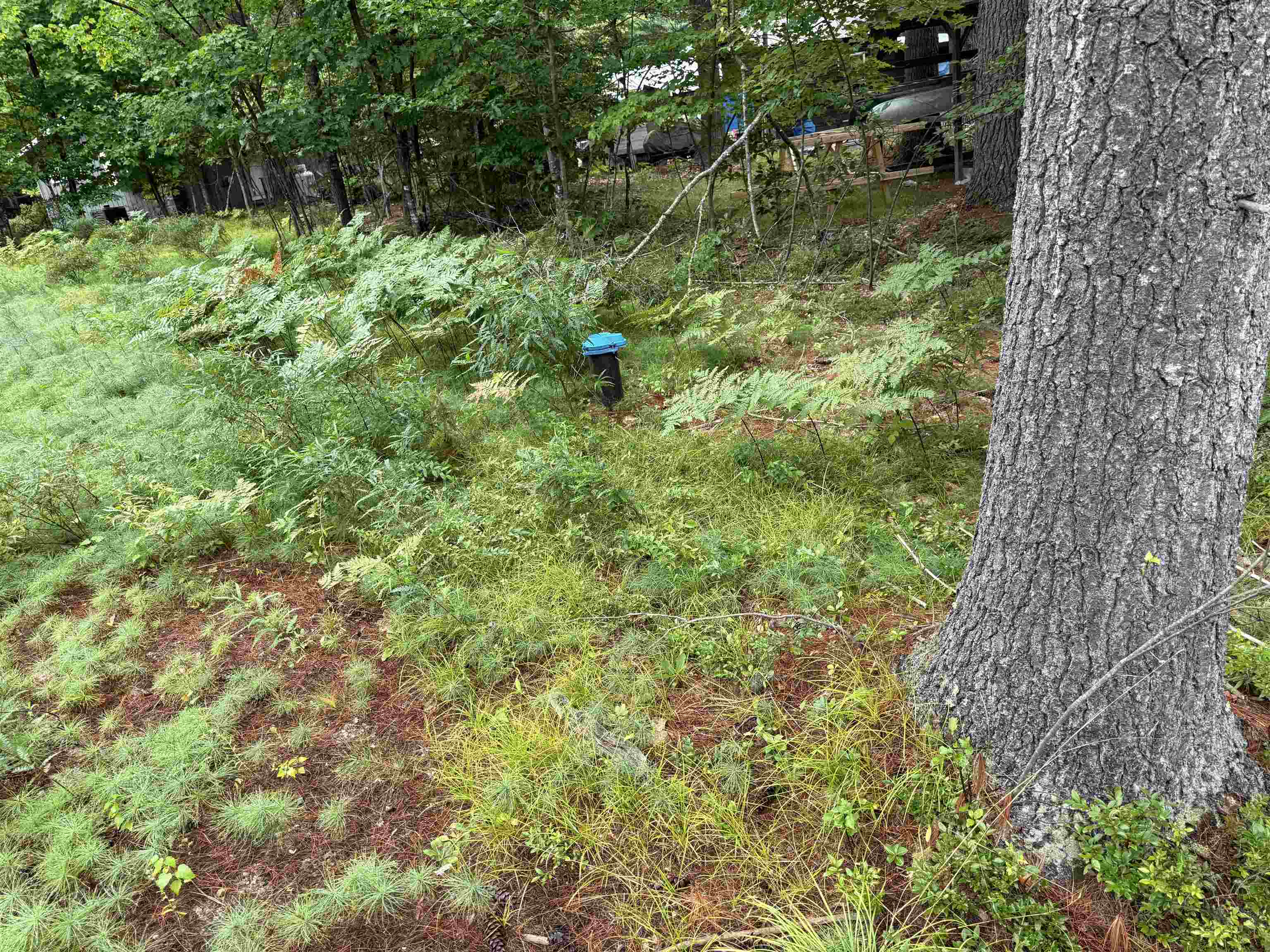 00 Birchwood Farm Road Property Photo 3