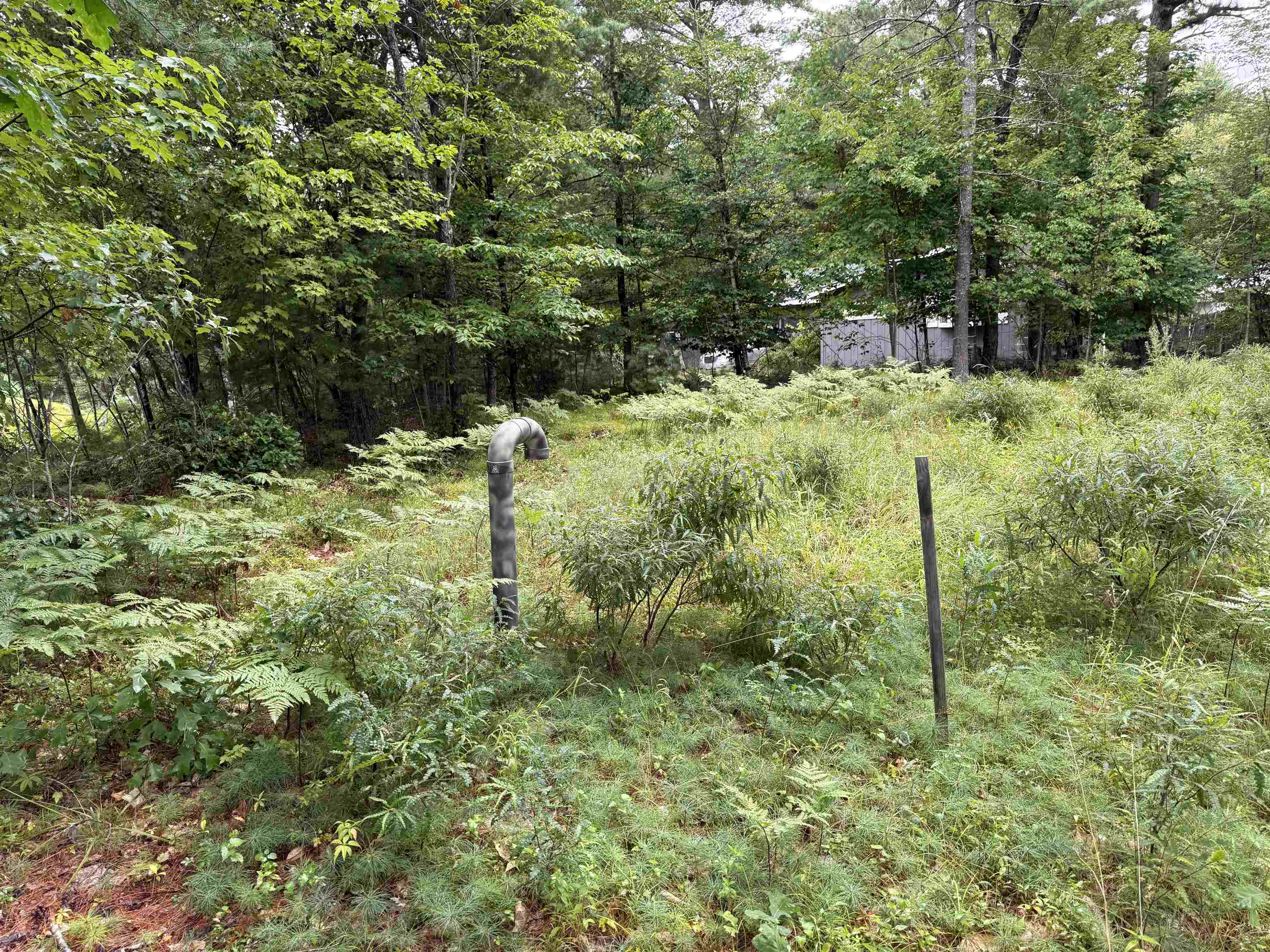 00 Birchwood Farm Road Property Photo 4