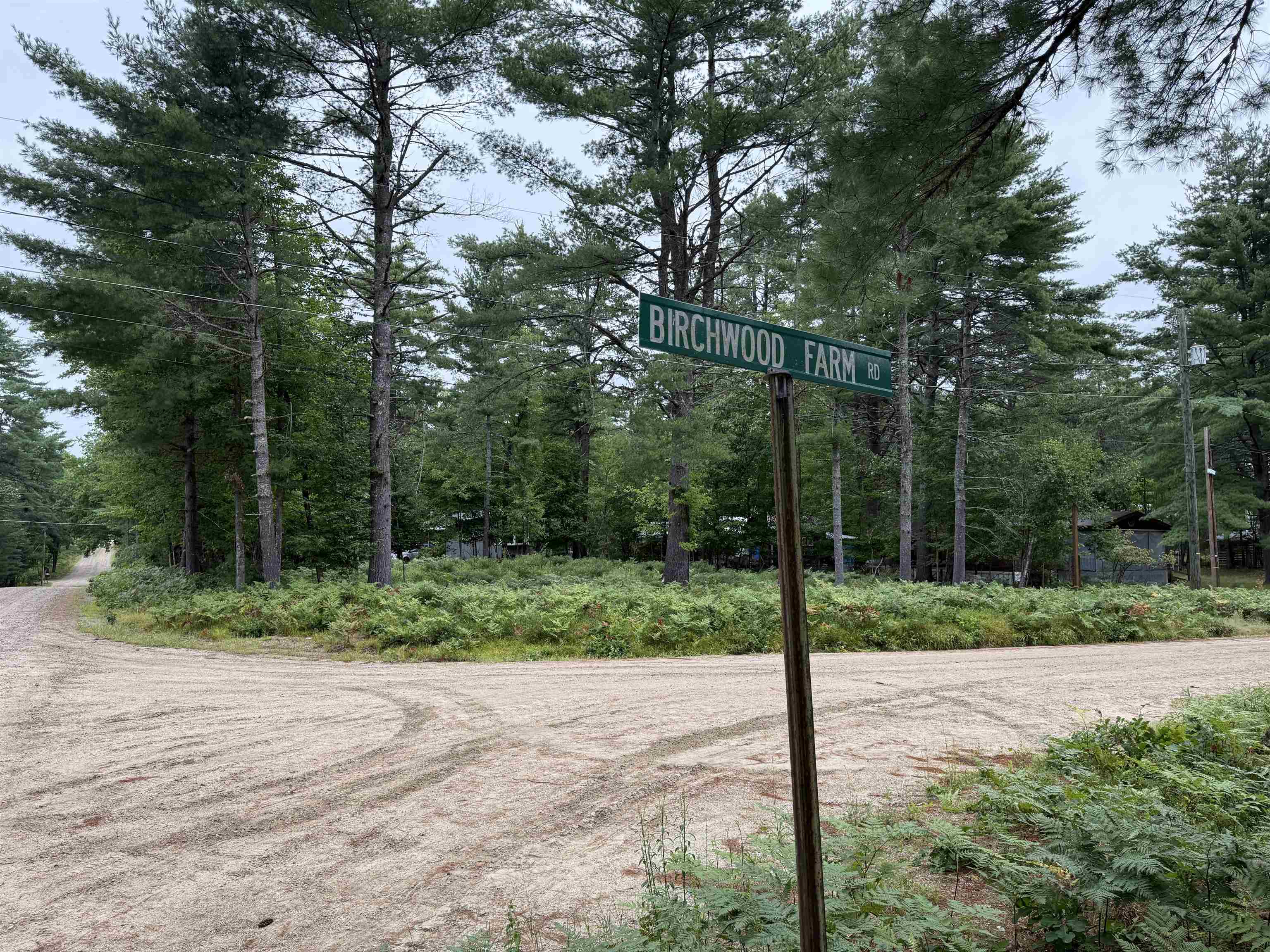 00 Birchwood Farm Road Property Photo 5