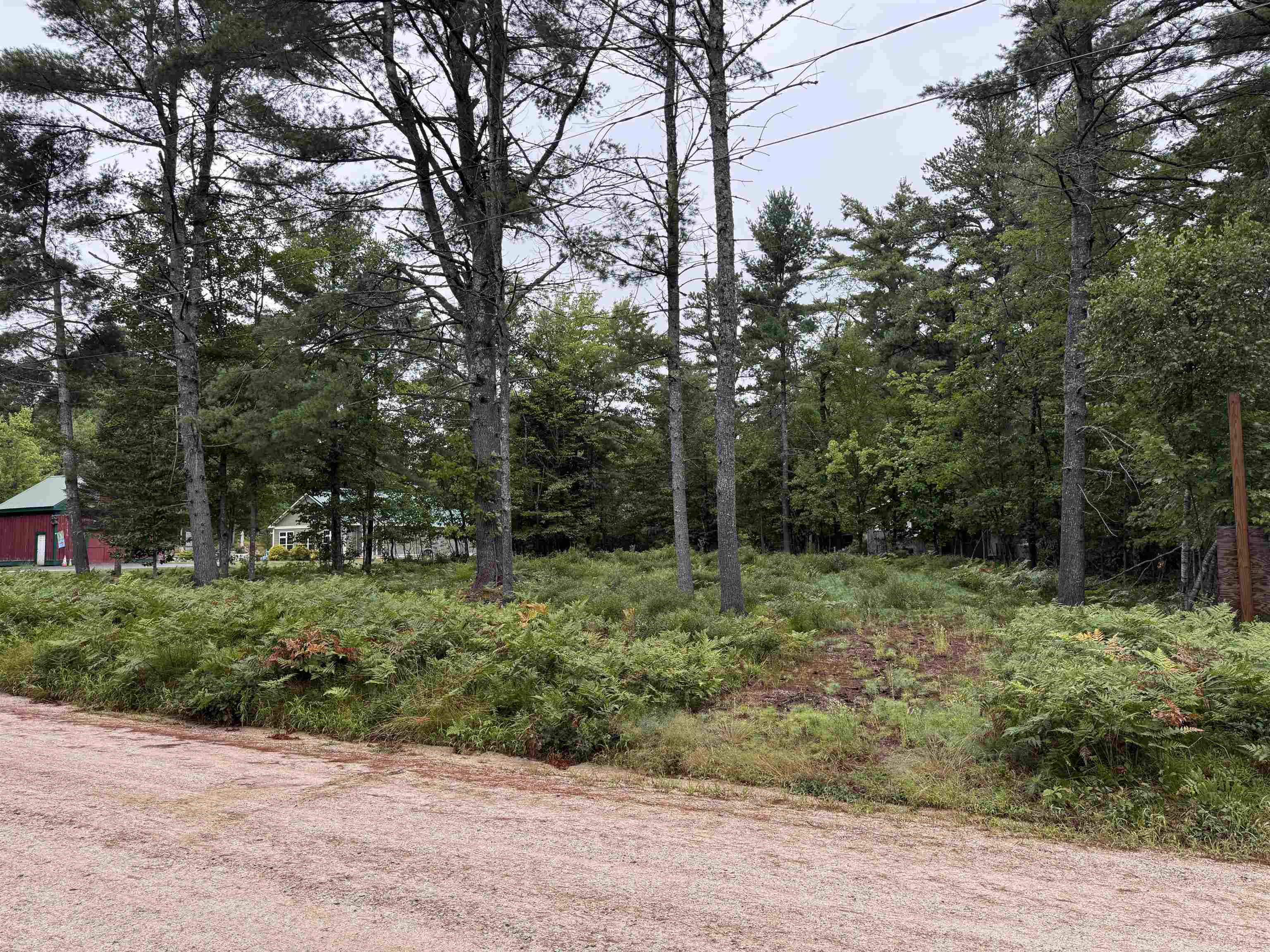 00 Birchwood Farm Road Property Photo 6