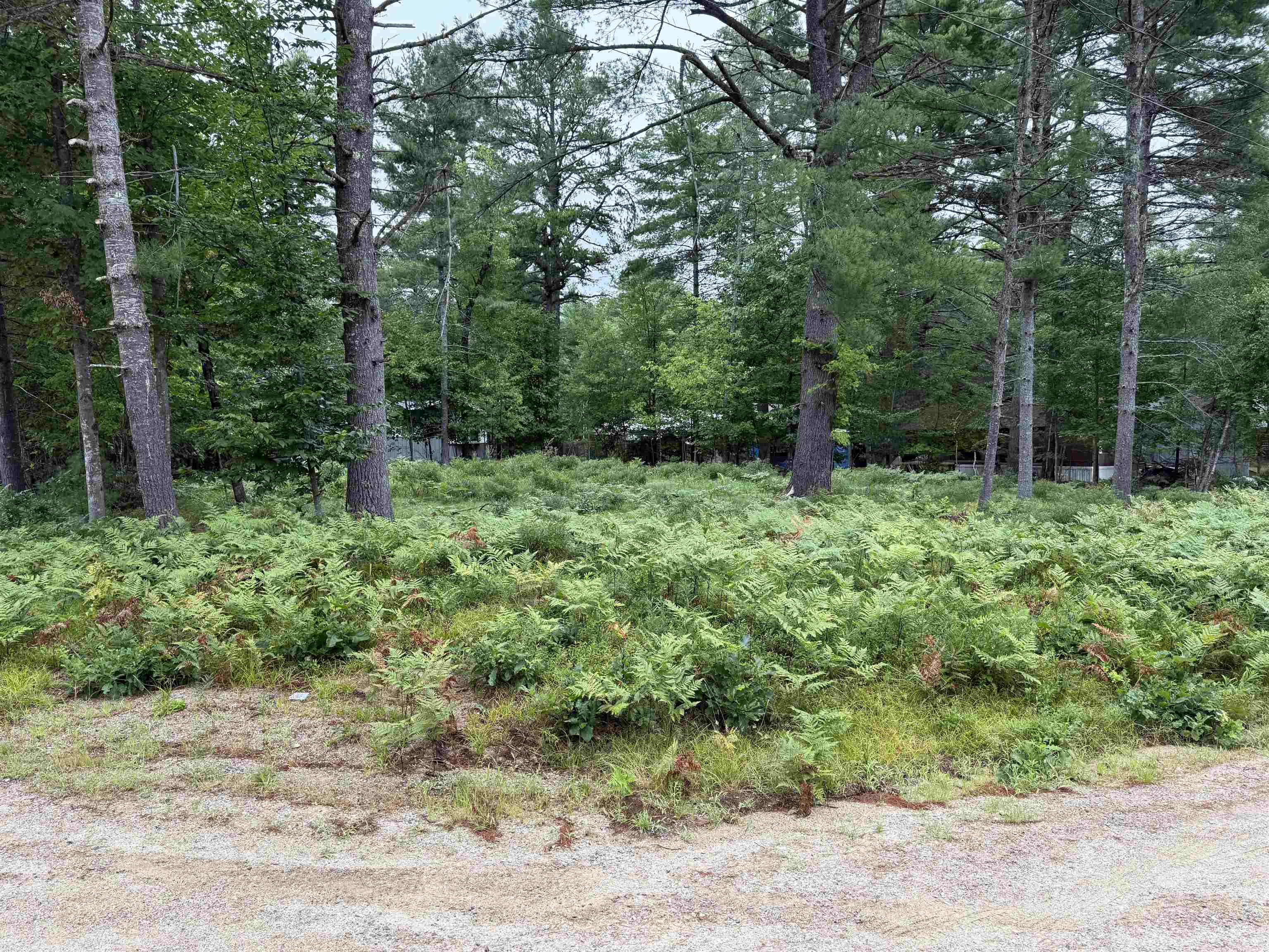 00 Birchwood Farm Road Property Photo 8