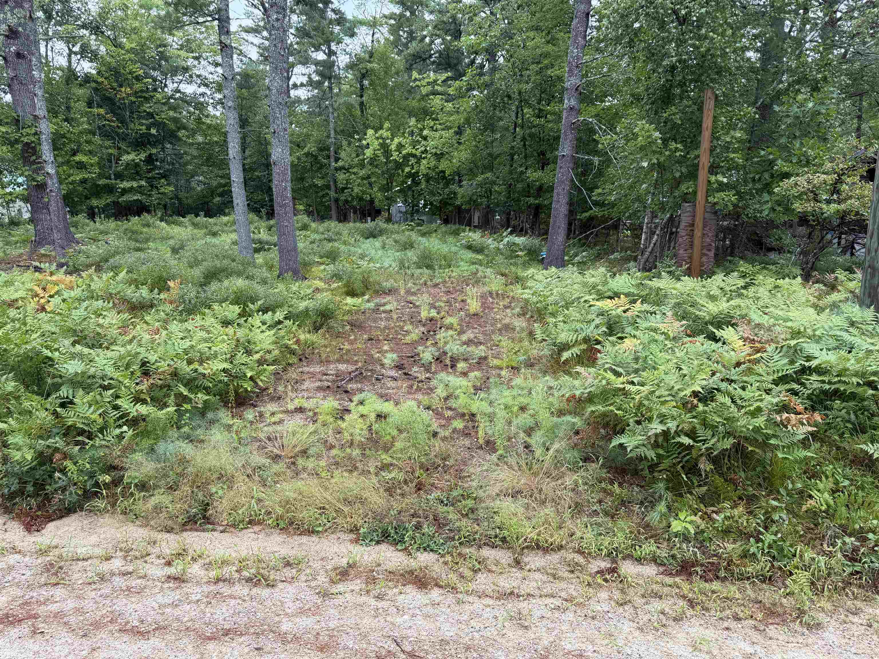 00 Birchwood Farm Road Property Photo 10