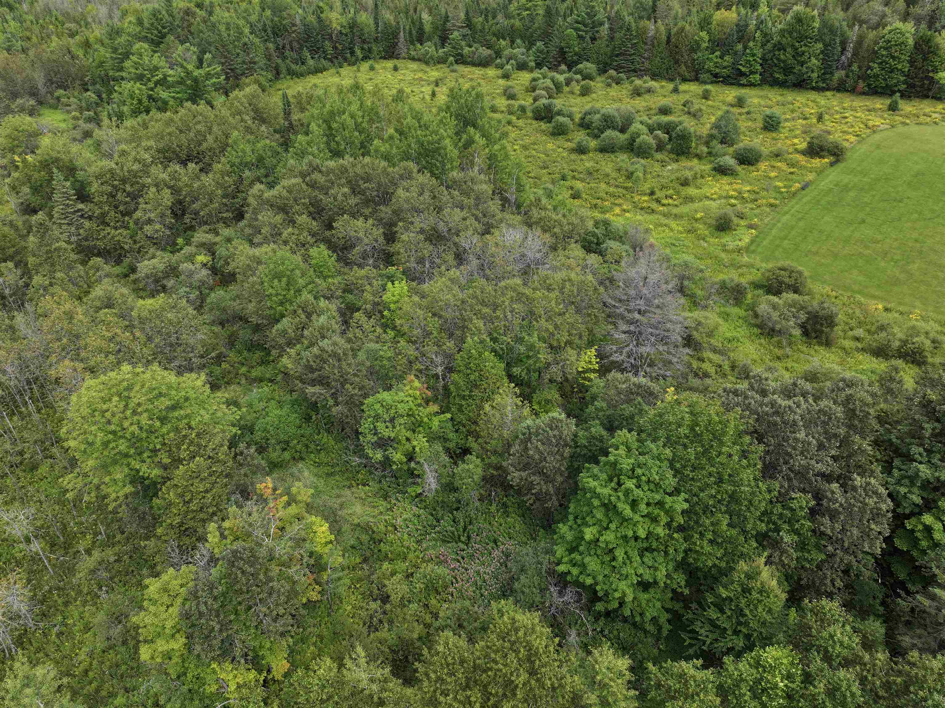 50 Lake Shore Road Property Photo 3