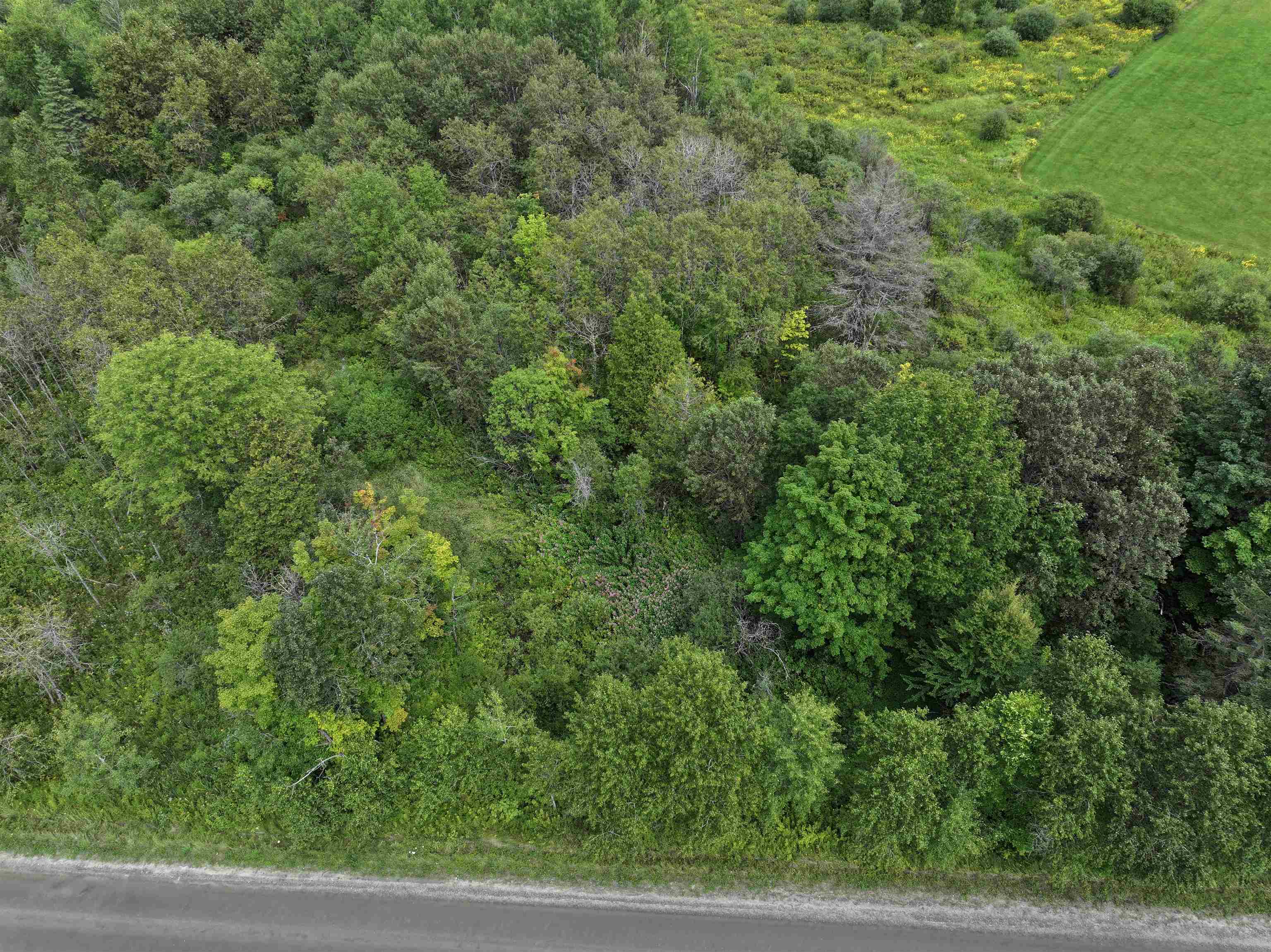 50 Lake Shore Road Property Photo 4