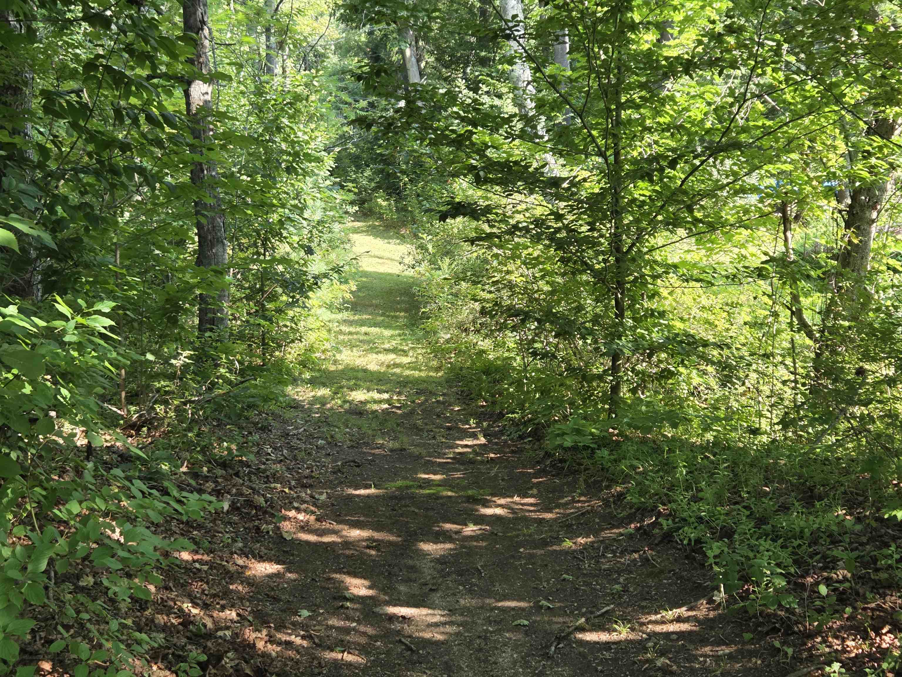 139 Pancake Road Property Photo 34