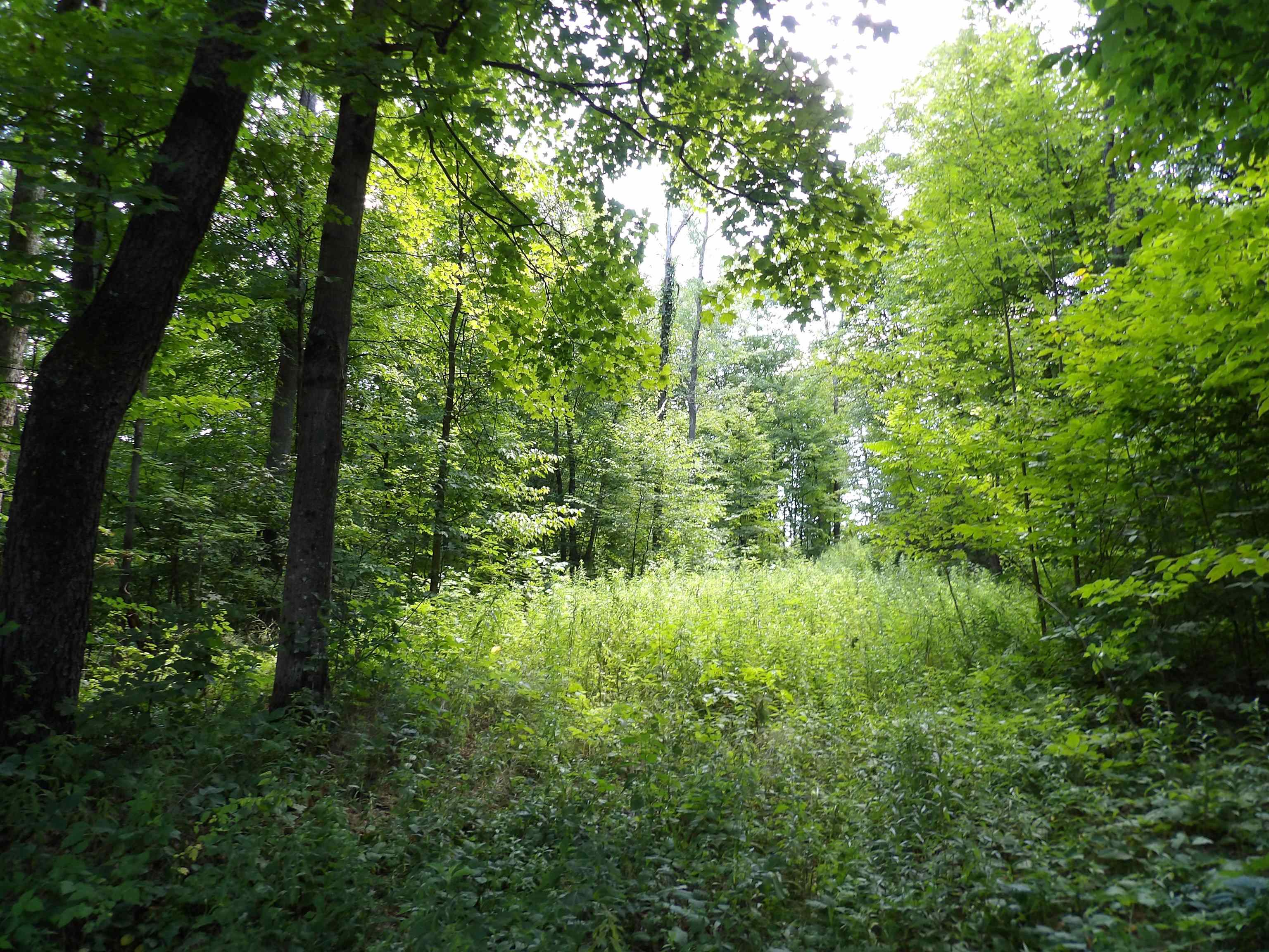 20 Center Street Property Photo 1
