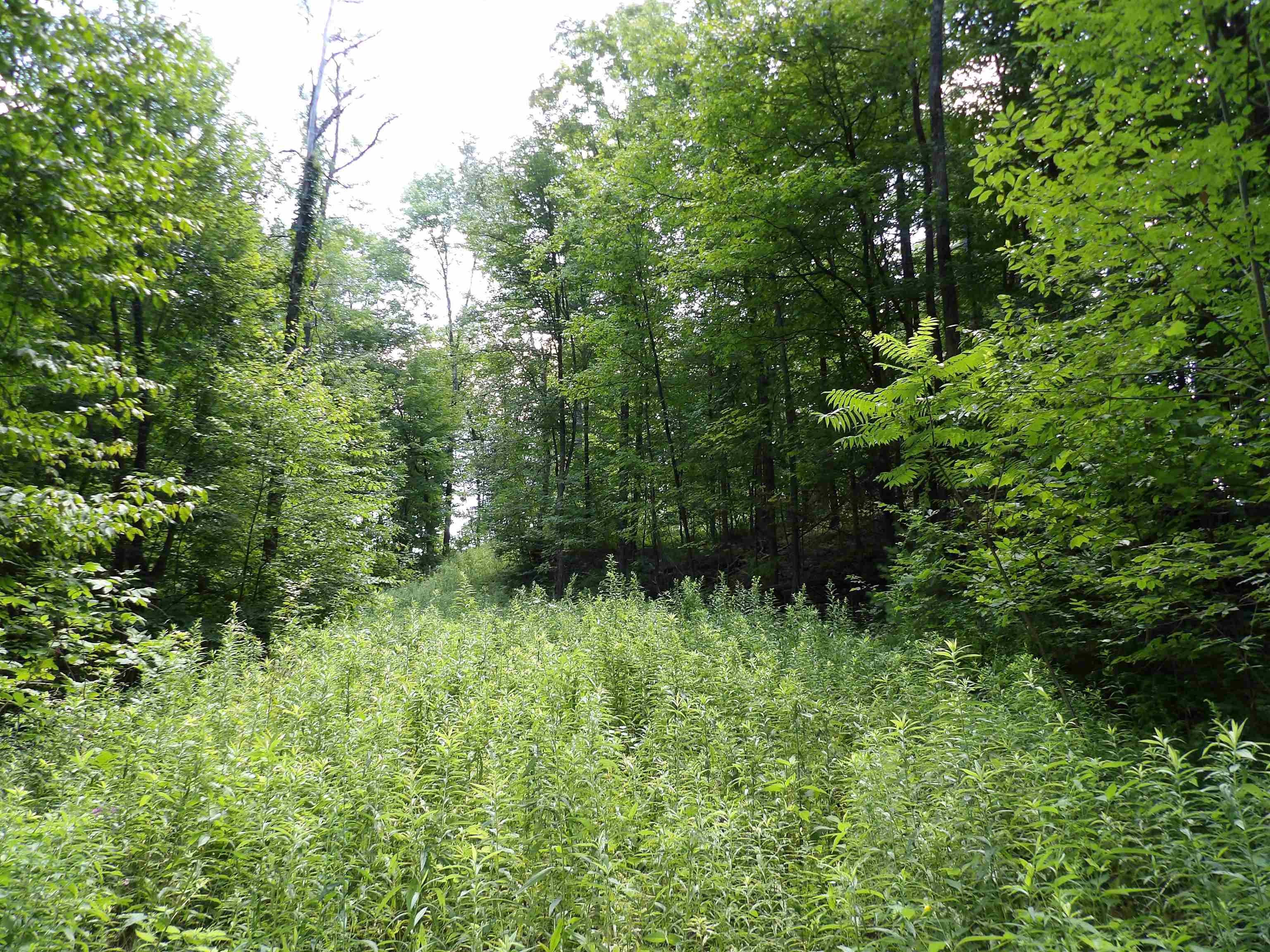 20 Center Street Property Photo 2