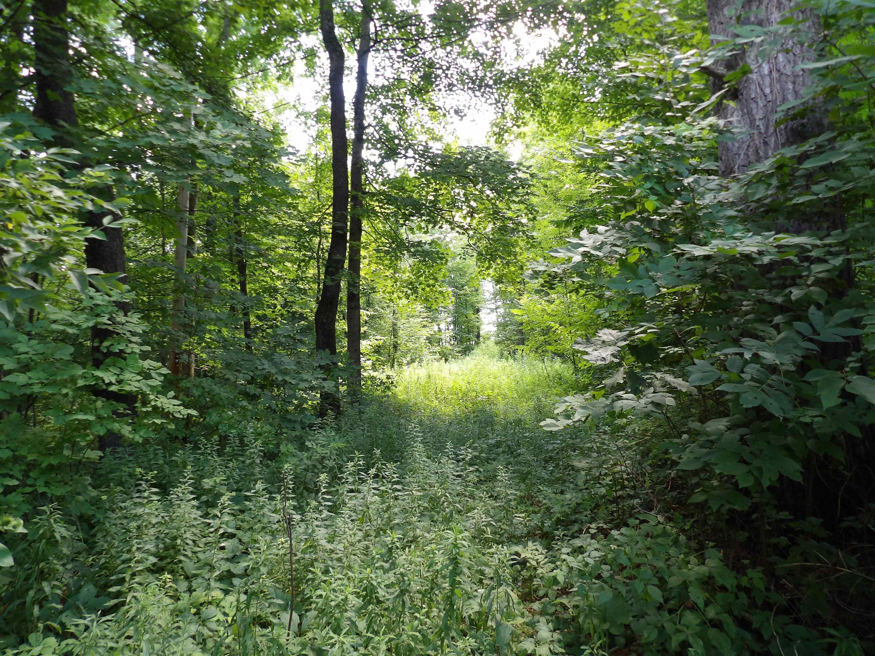20 Center Street Property Photo 8