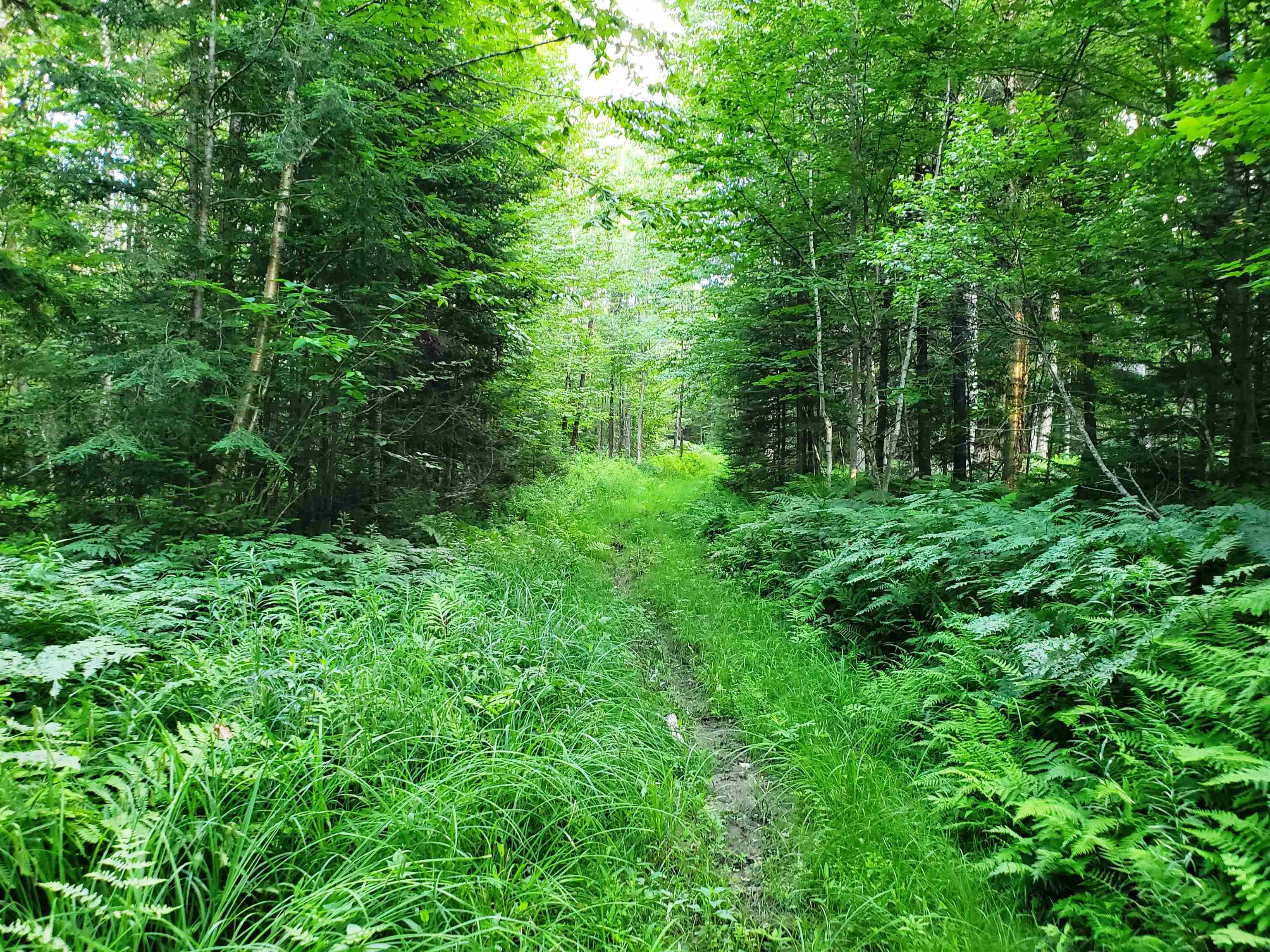 2690 Vt Route 105 Property Photo 15