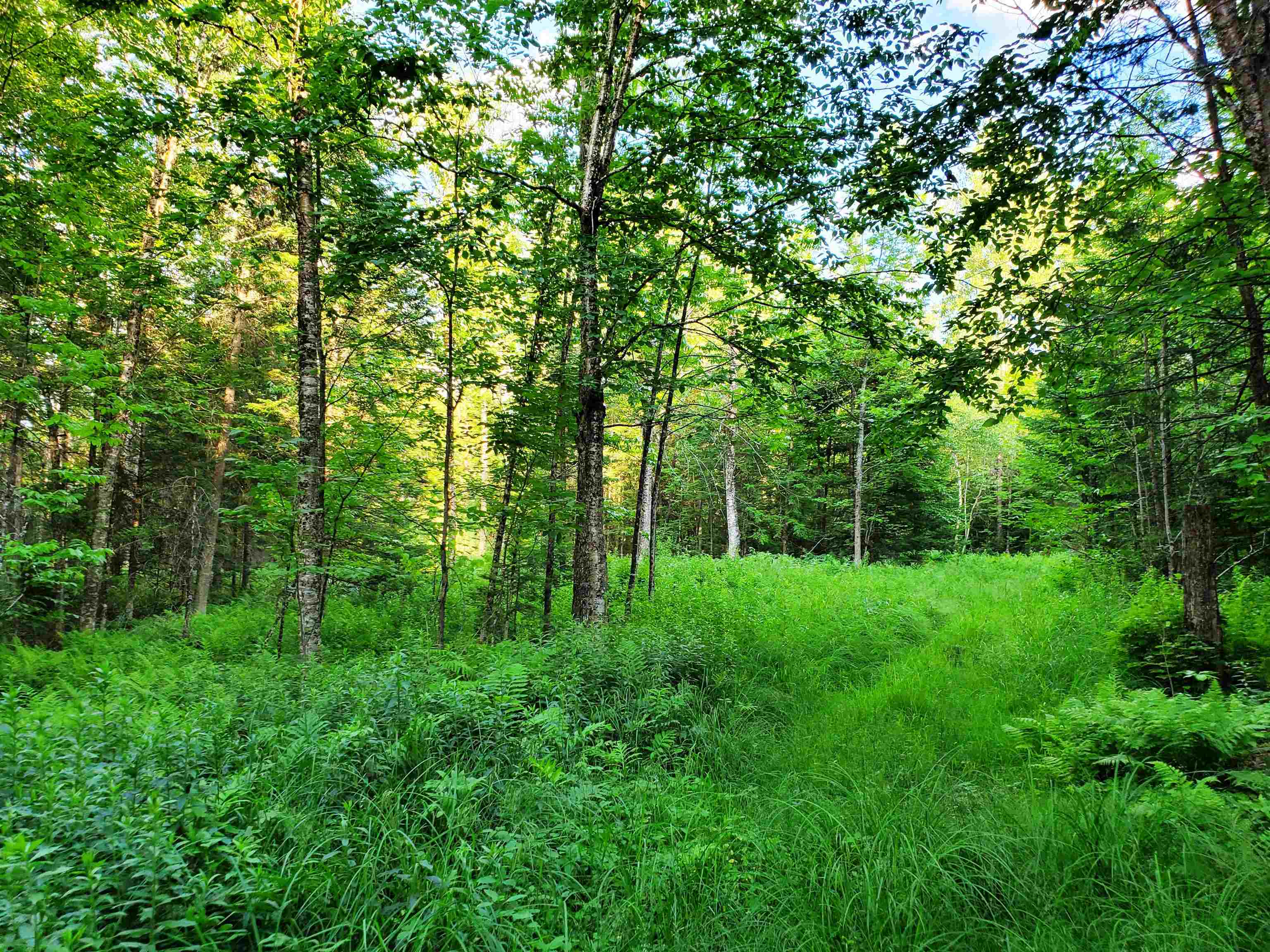 2690 Vt Route 105 Property Photo 16