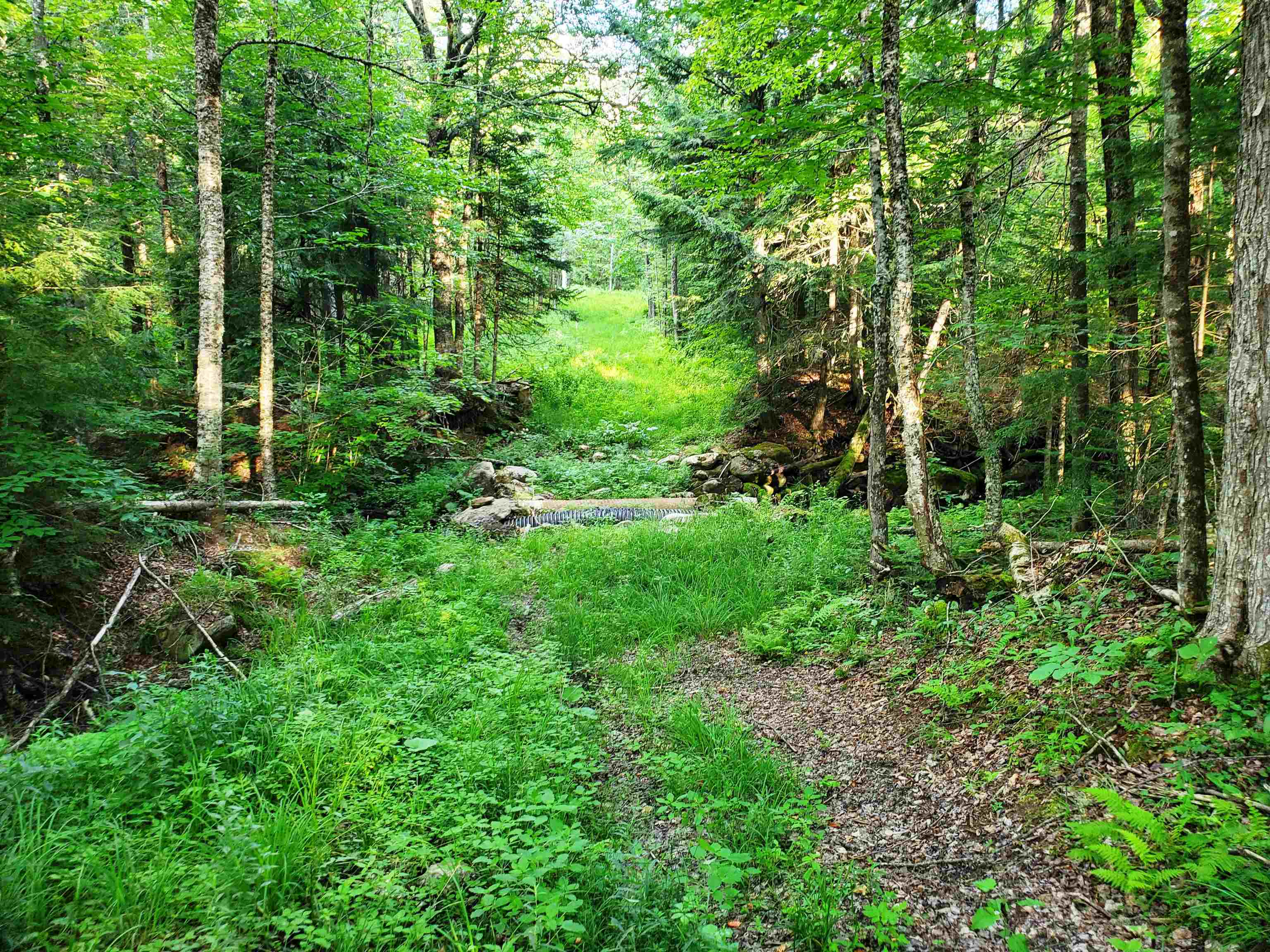 2690 Vt Route 105 Property Photo 17