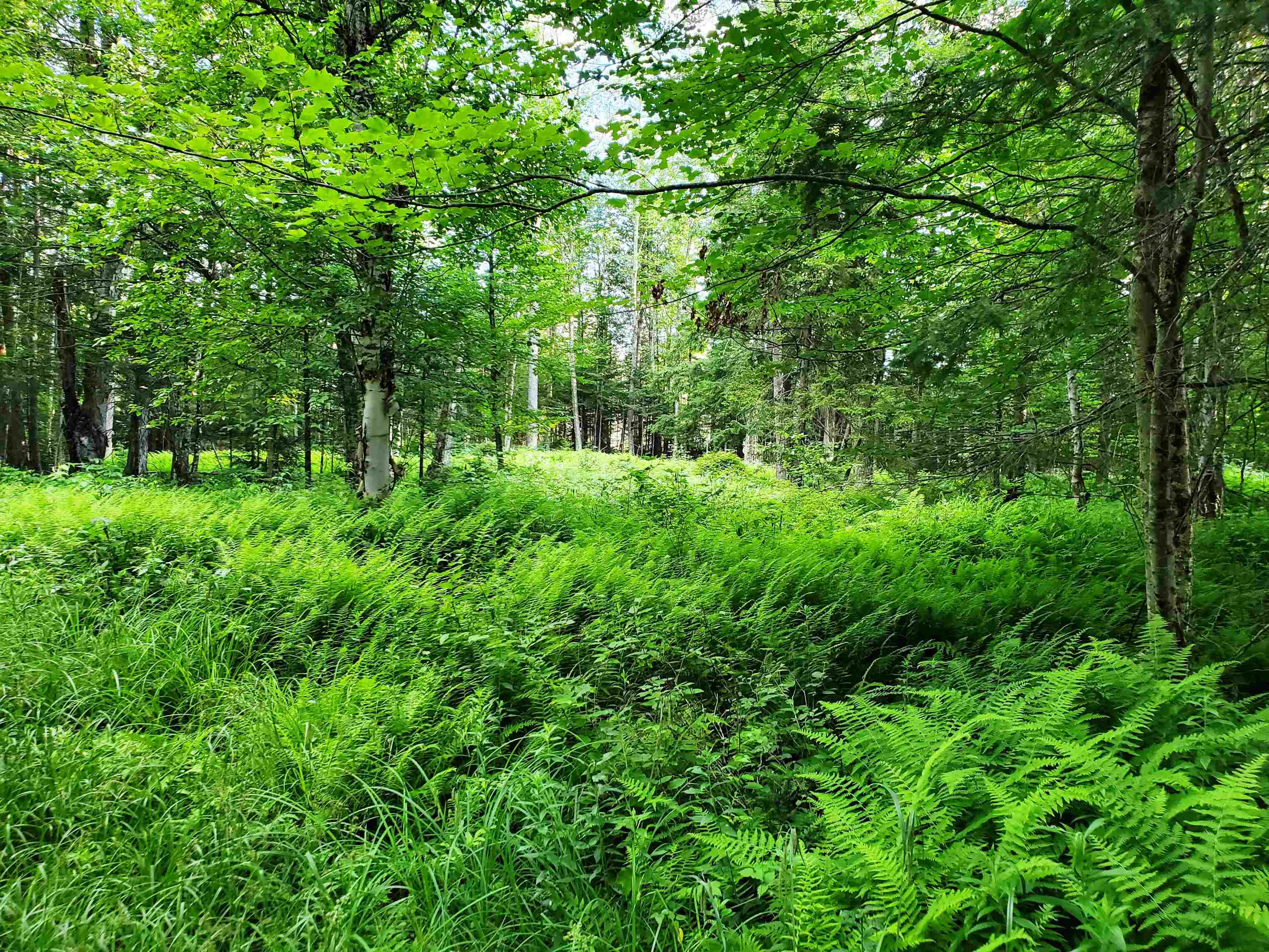 2690 Vt Route 105 Property Photo 18