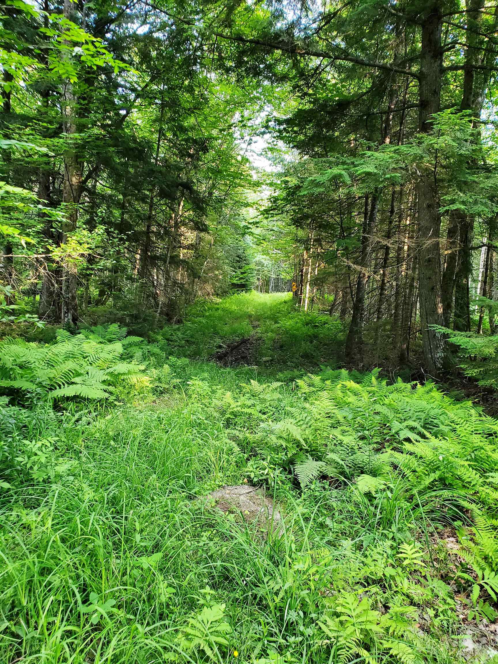 2690 Vt Route 105 Property Photo 19
