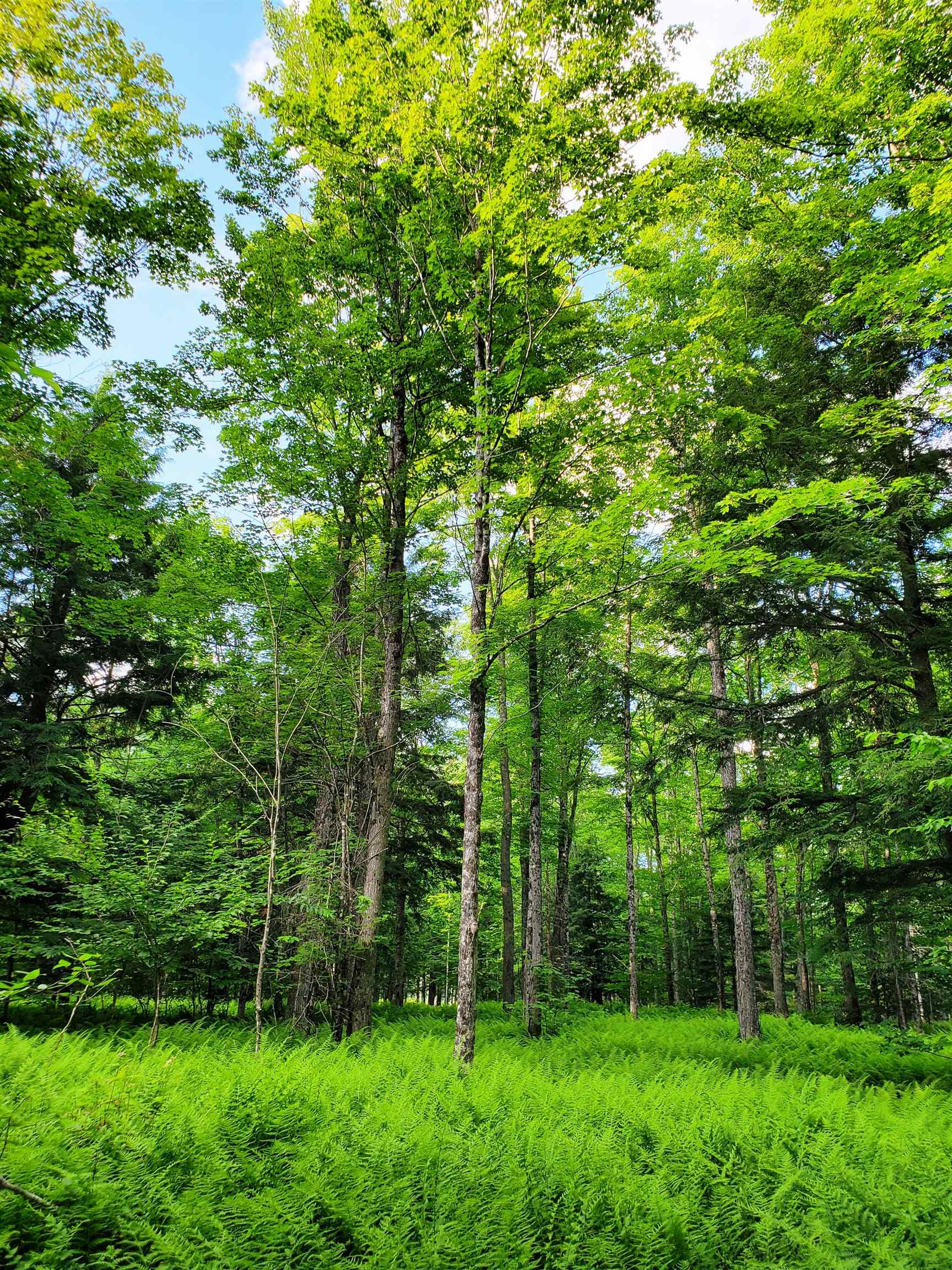 2690 Vt Route 105 Property Photo 20
